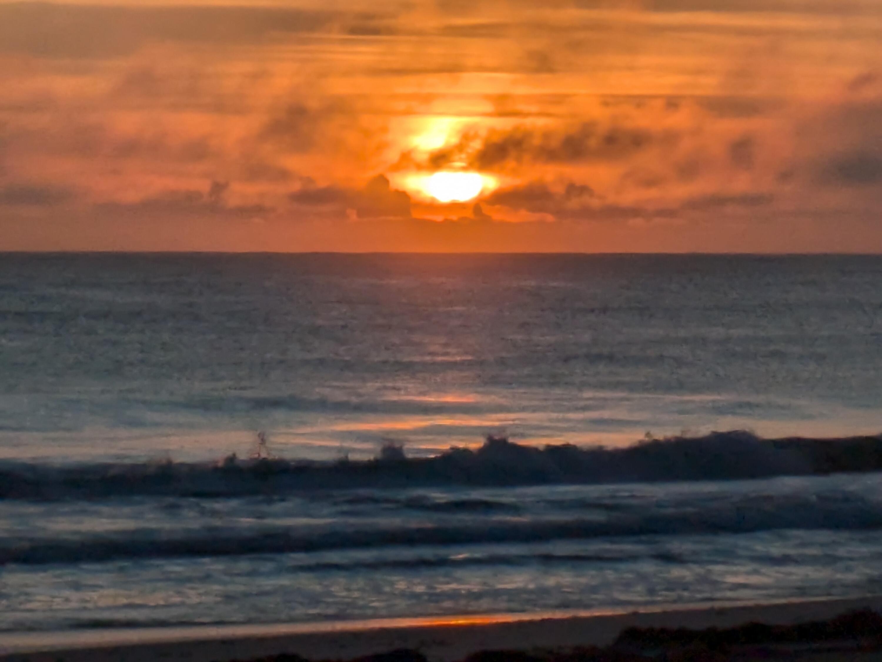 MLS #RX-10806571 image #33