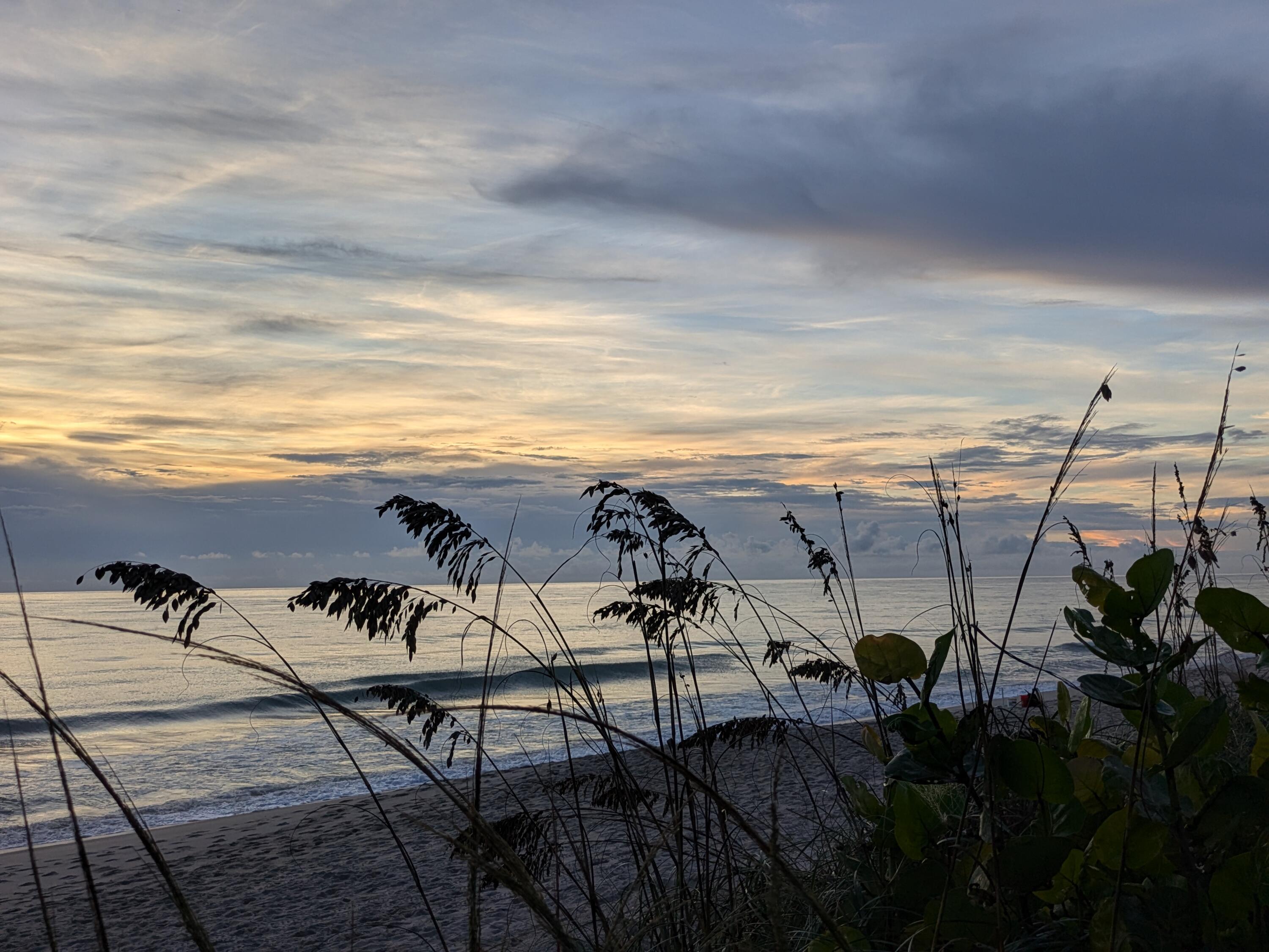 MLS #RX-10806571 image #35