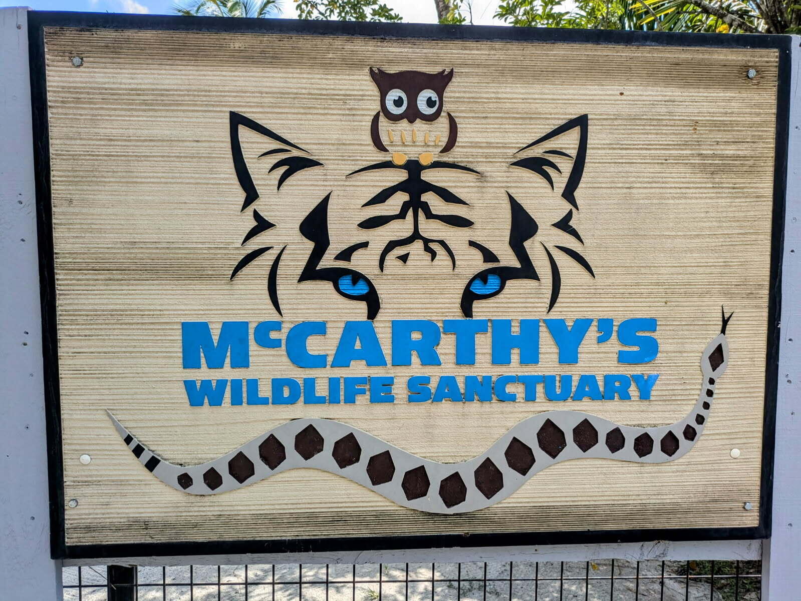 MLS #RX-10806571 image #36