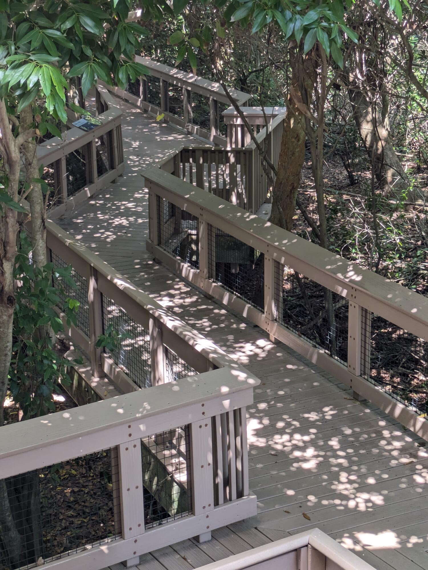 MLS #RX-10806571 image #37