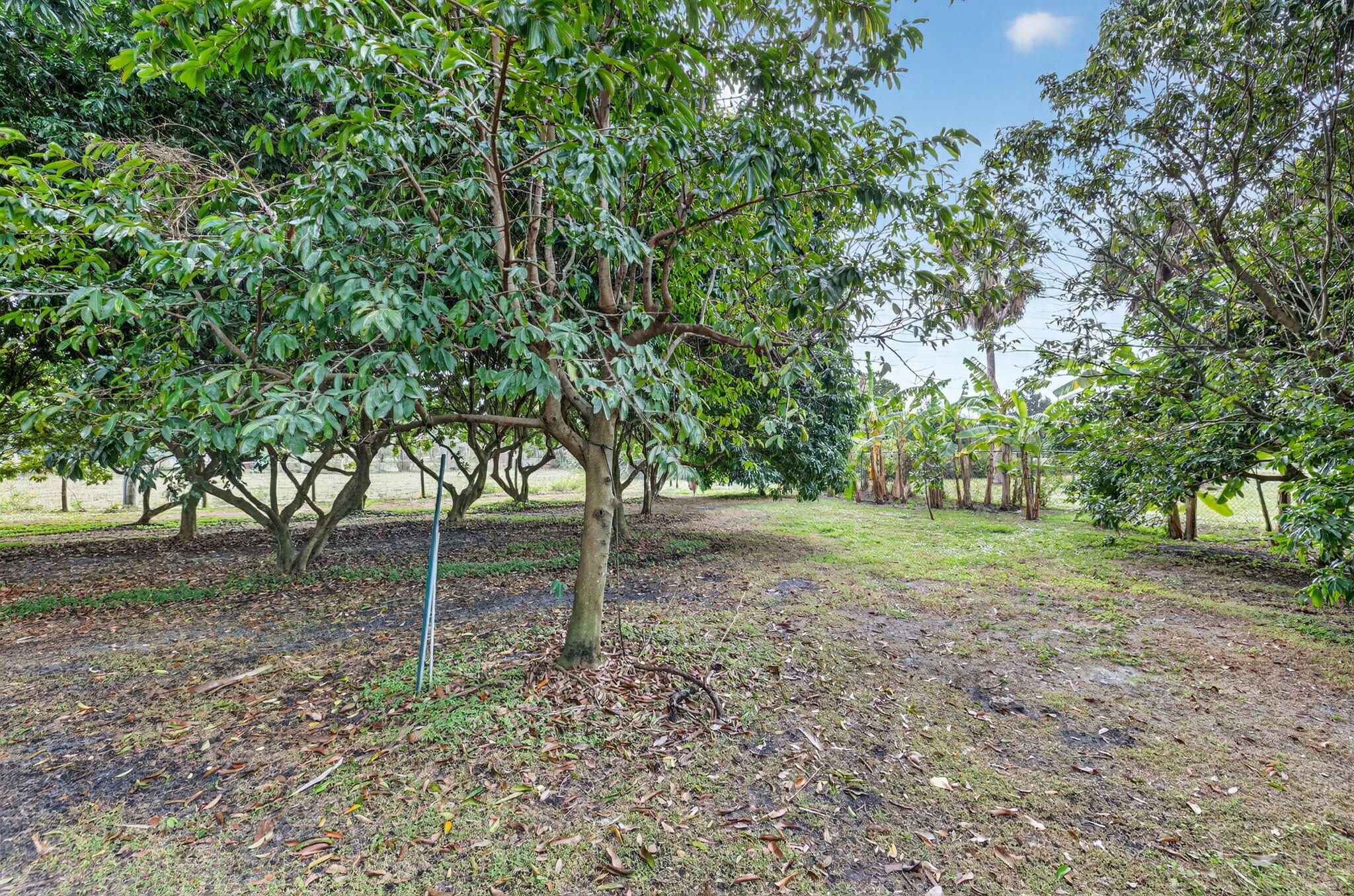 MLS #RX-11146403 image #30