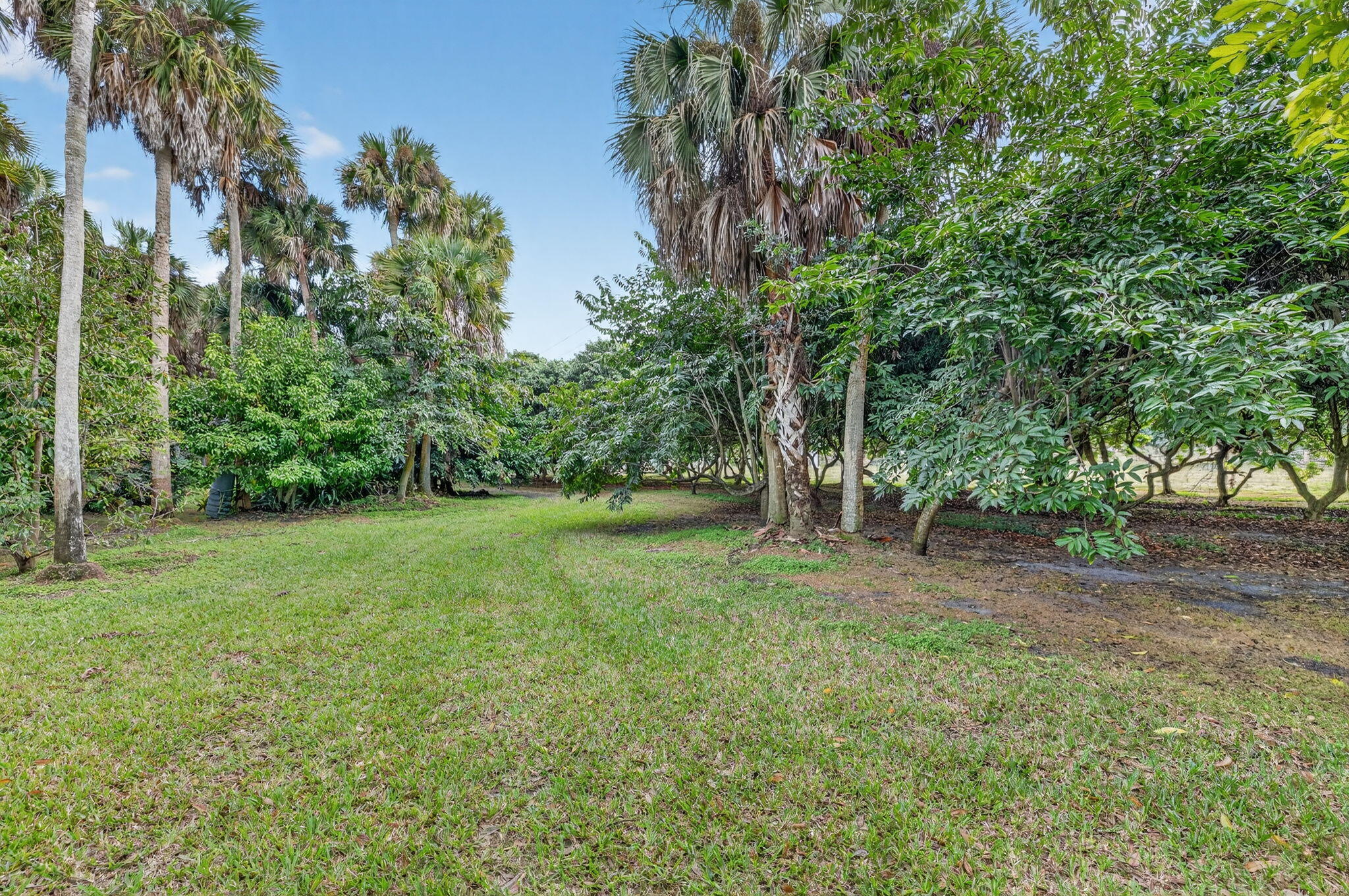 MLS #RX-11146403 image #32