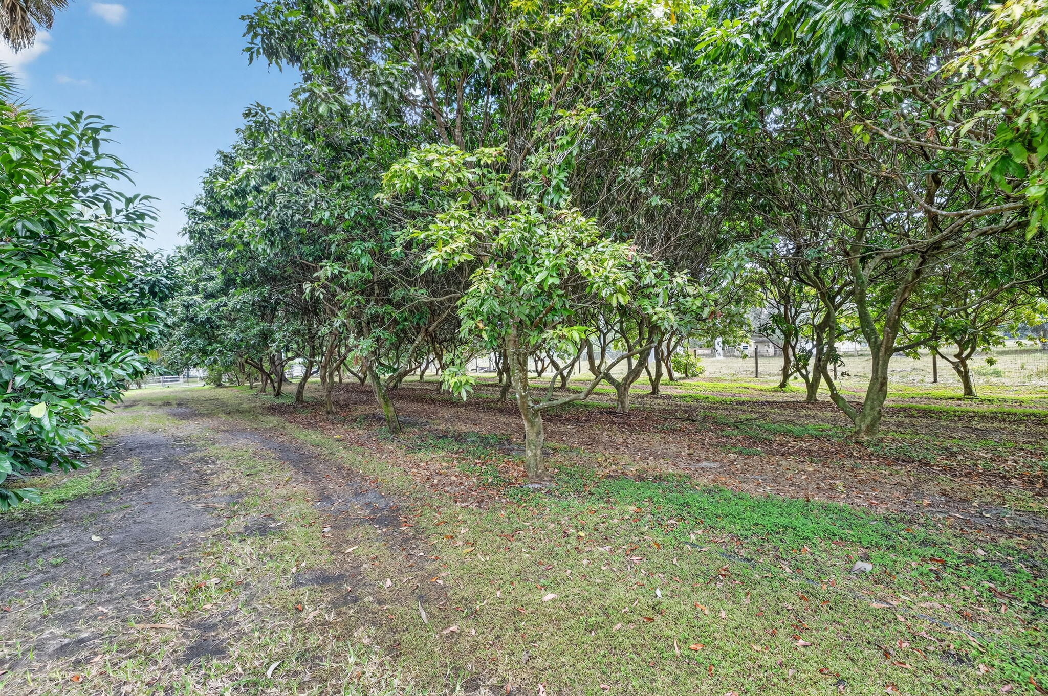 MLS #RX-11146403 image #33