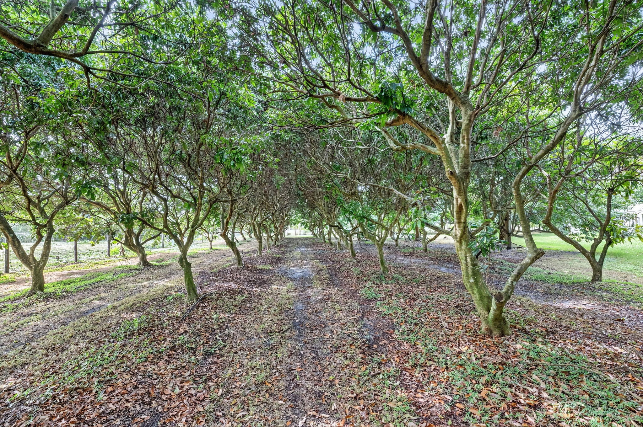 MLS #RX-11146403 image #34