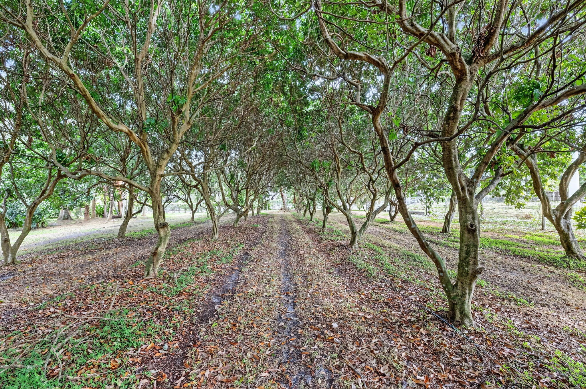 MLS #RX-11146403 image #35