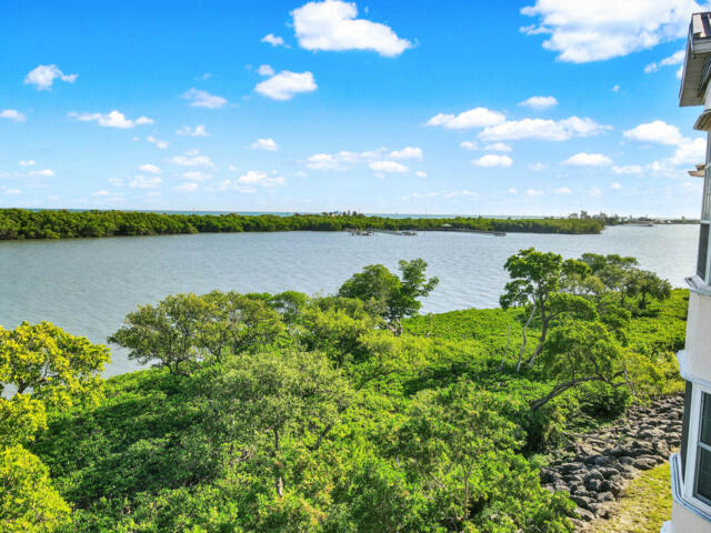 MLS #RX-11146407 image #5