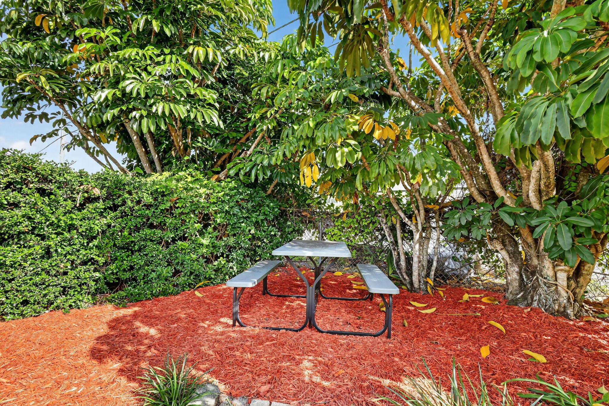 MLS #RX-11146436 image #30