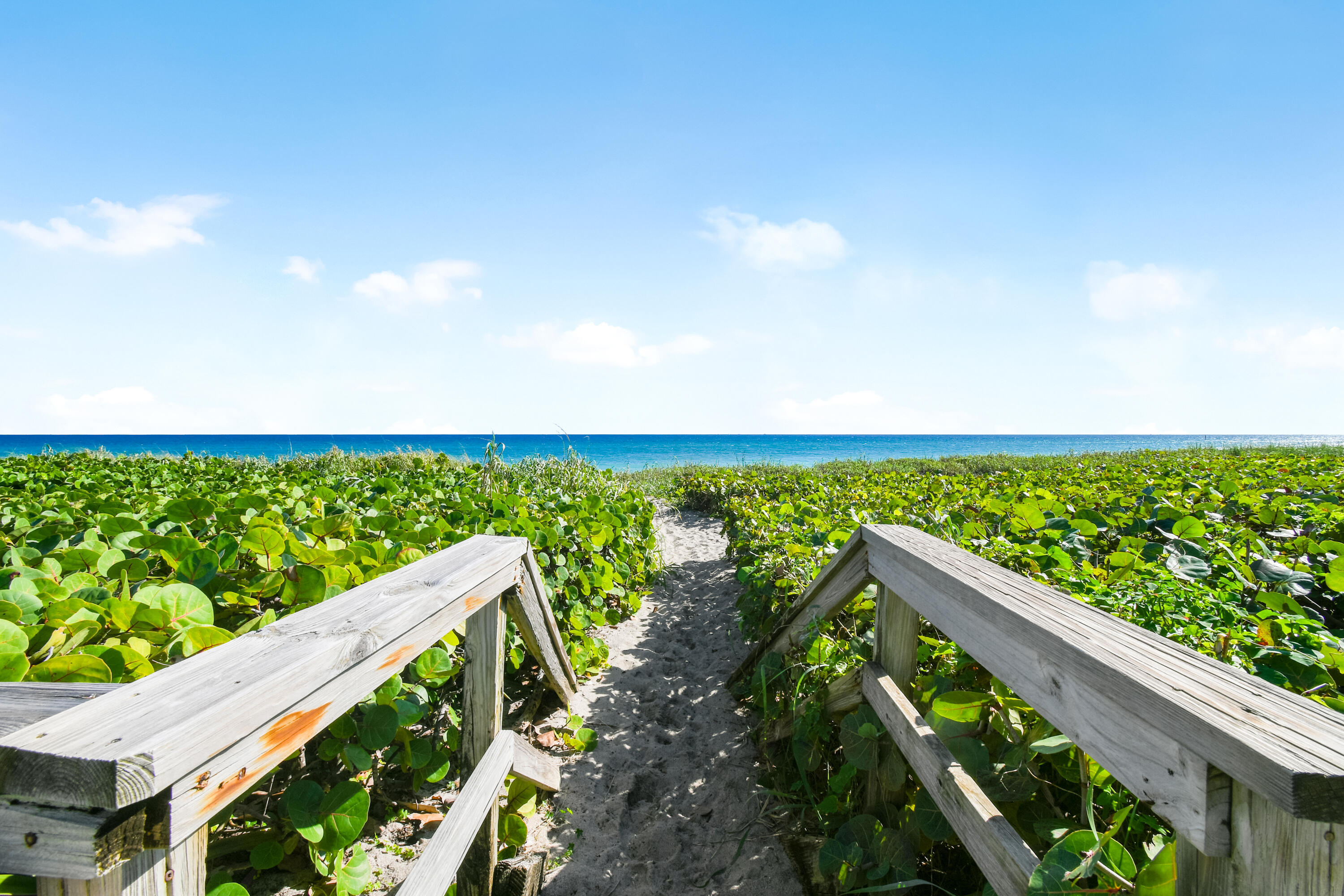 MLS #RX-11146467 image #2