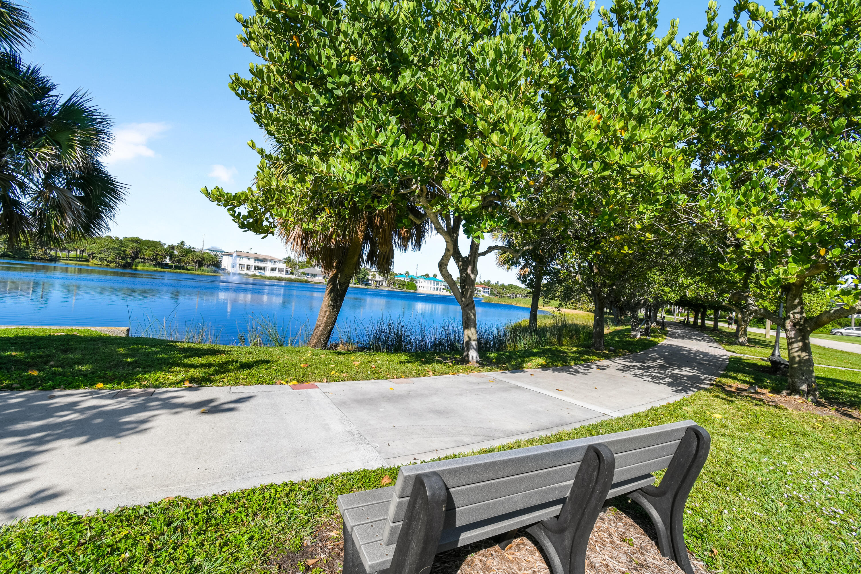 MLS #RX-11146467 image #34