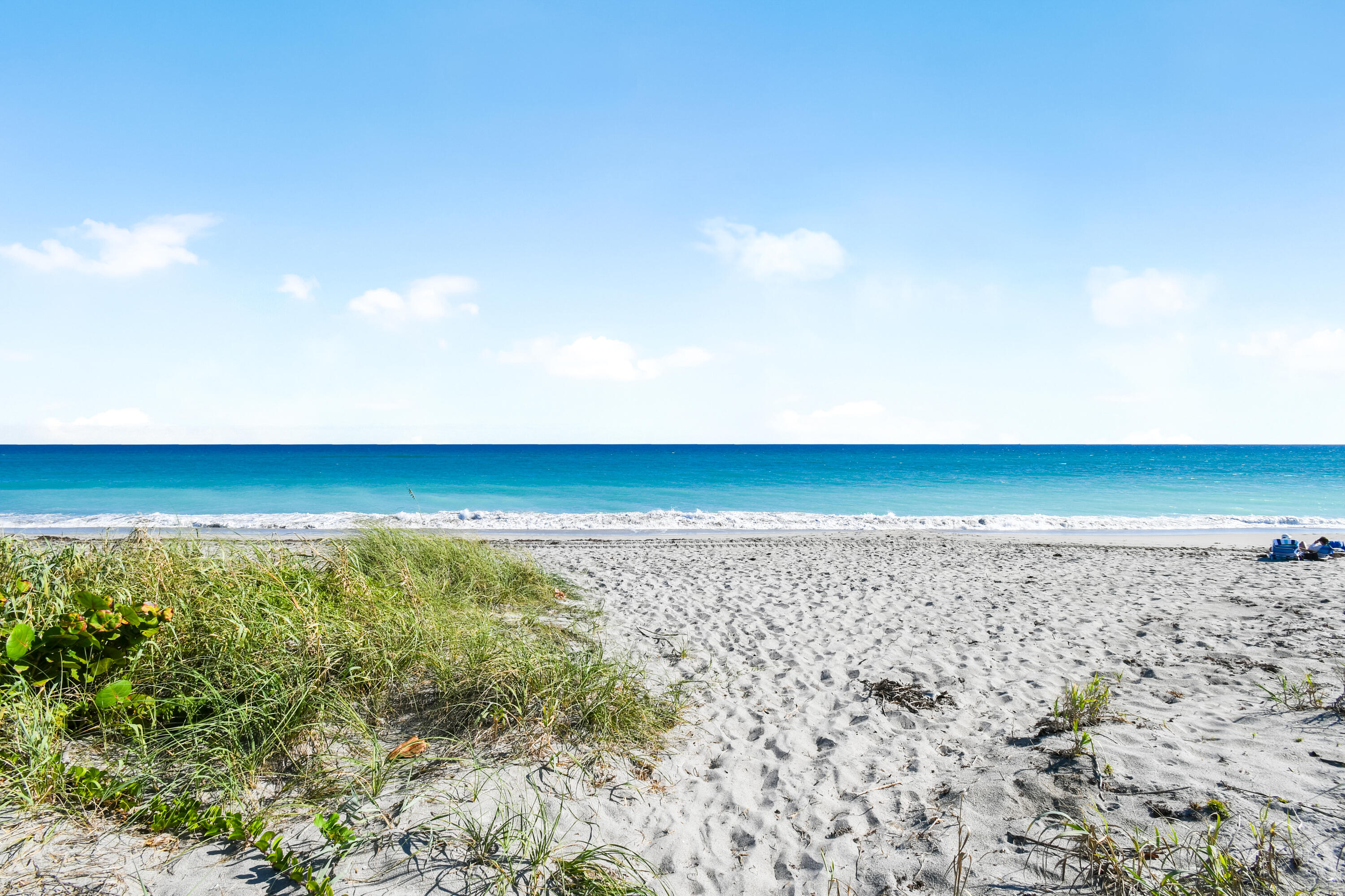 MLS #RX-11146467 image #4