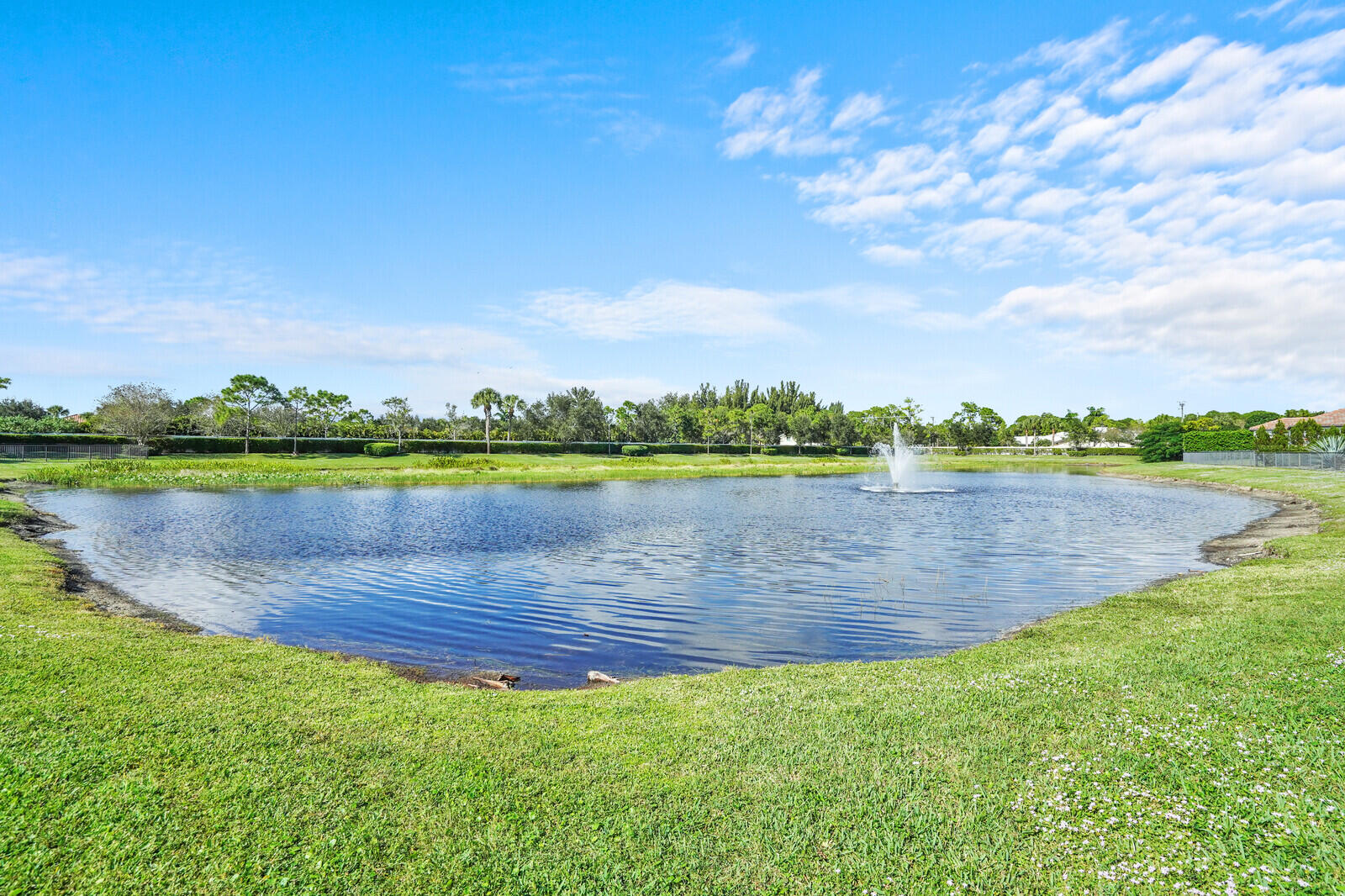 MLS #RX-11146528 image #36