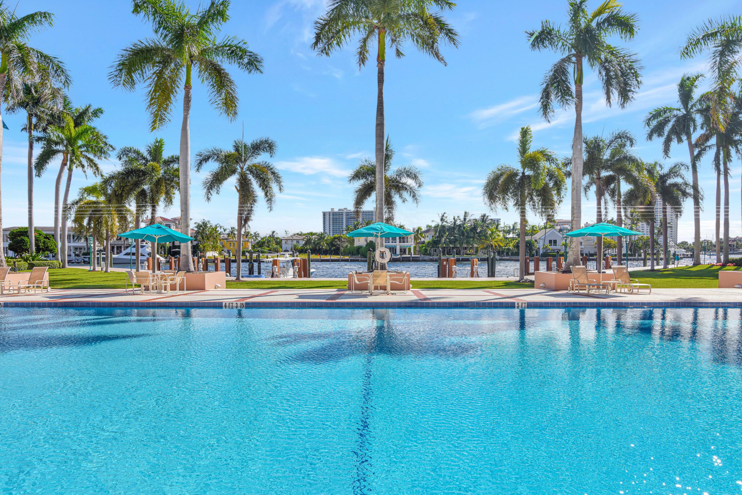 MLS #RX-11146620 image #5