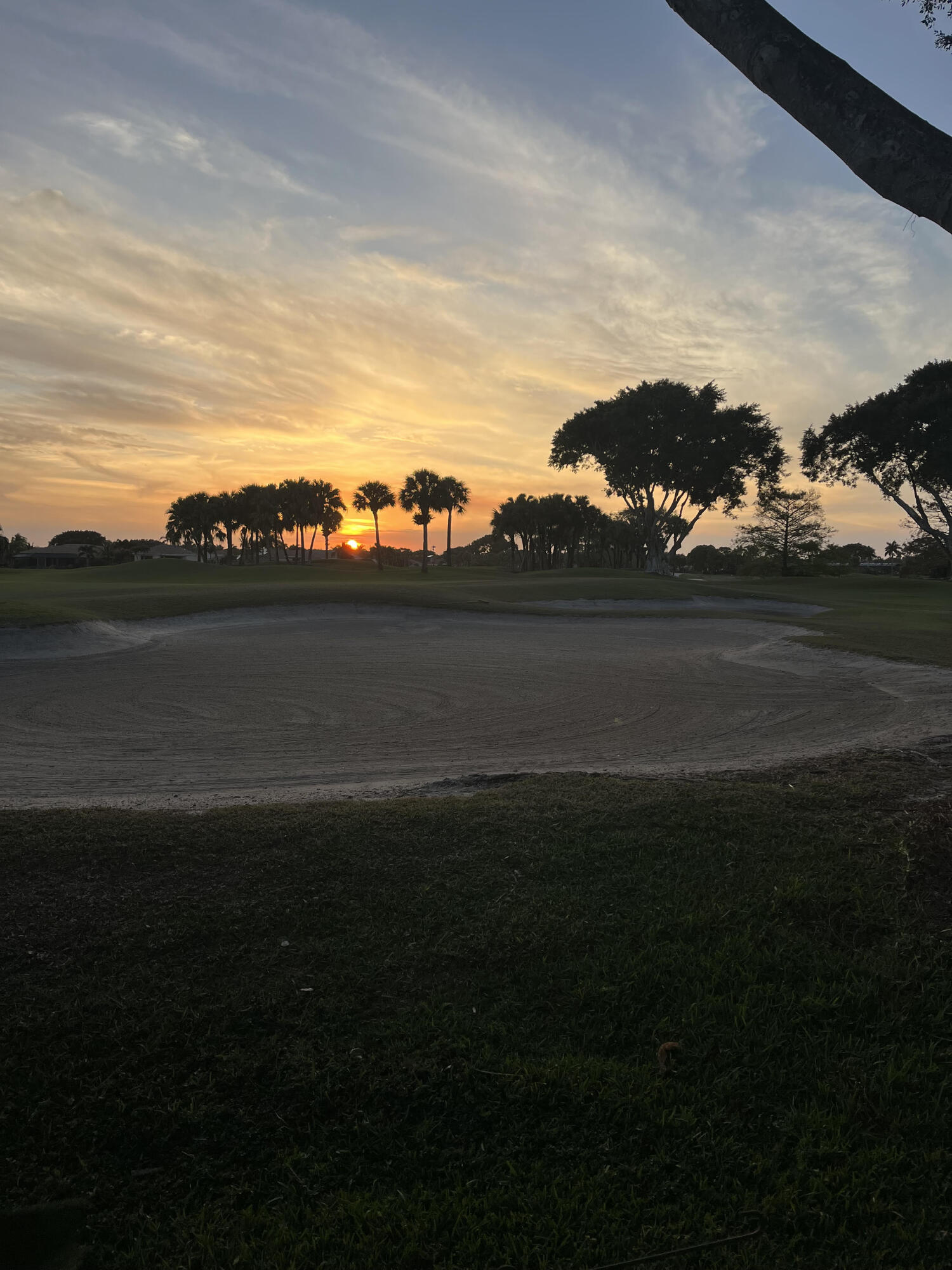 MLS #RX-11146673 image #6