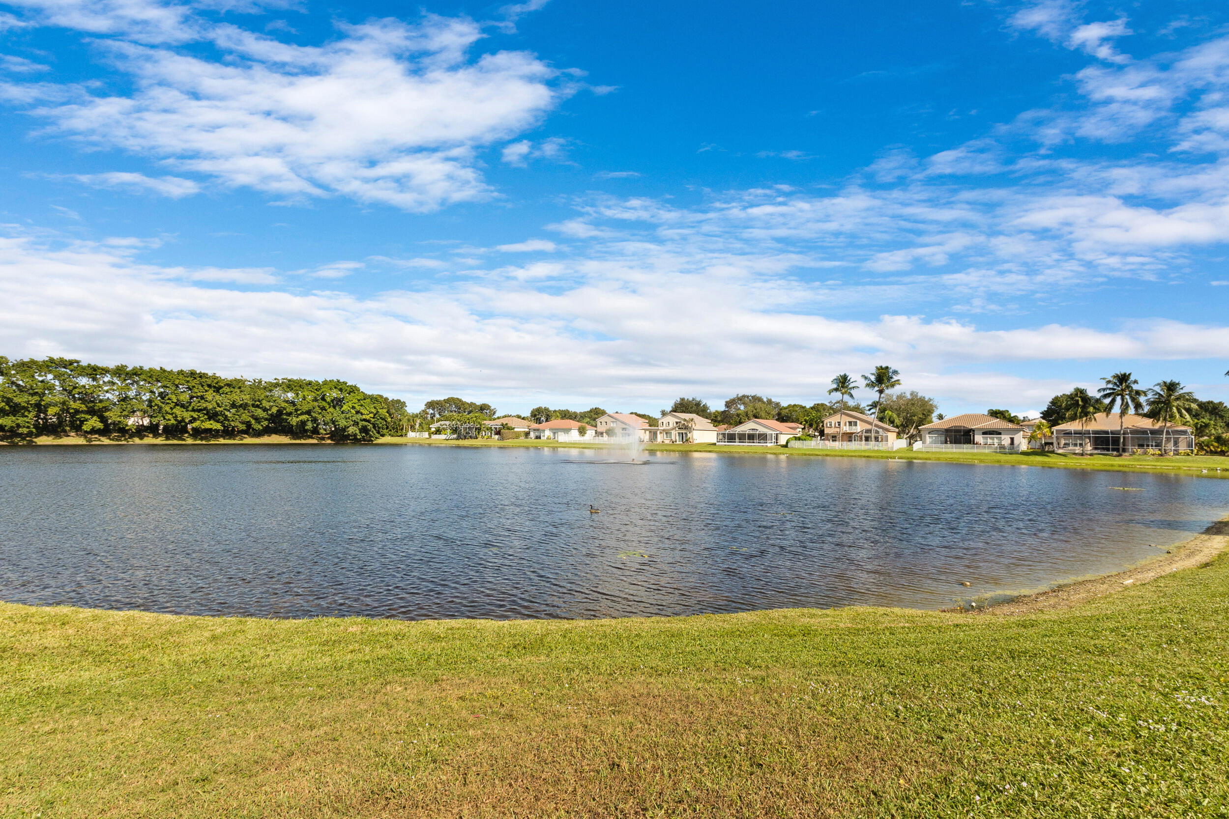 MLS #RX-11146690 image #44