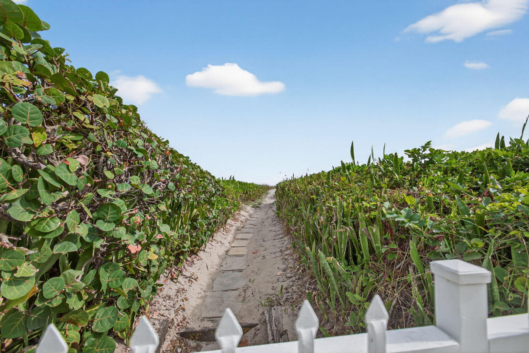 MLS #RX-11146702 image #33