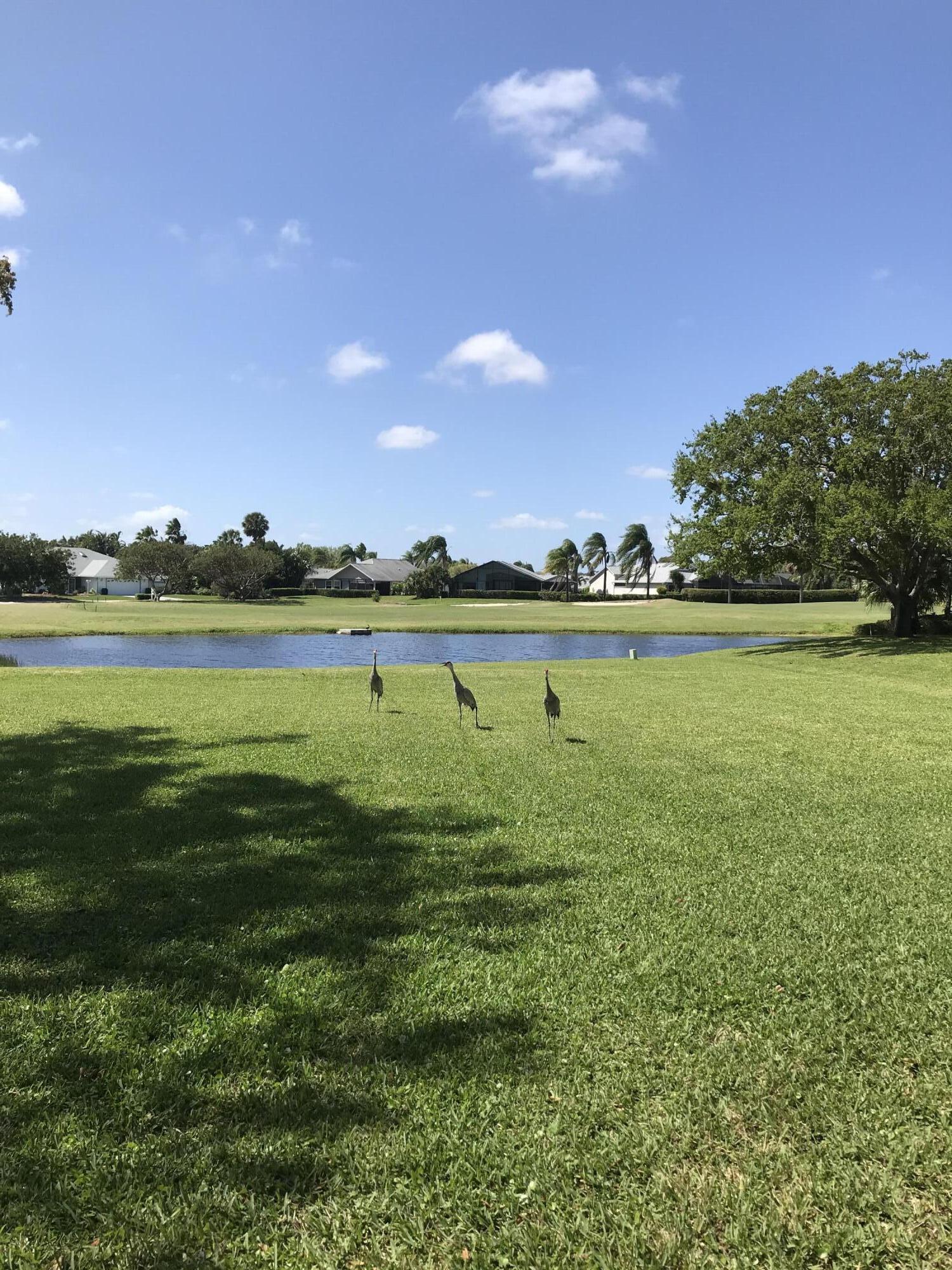 MLS #RX-11146707 image #3