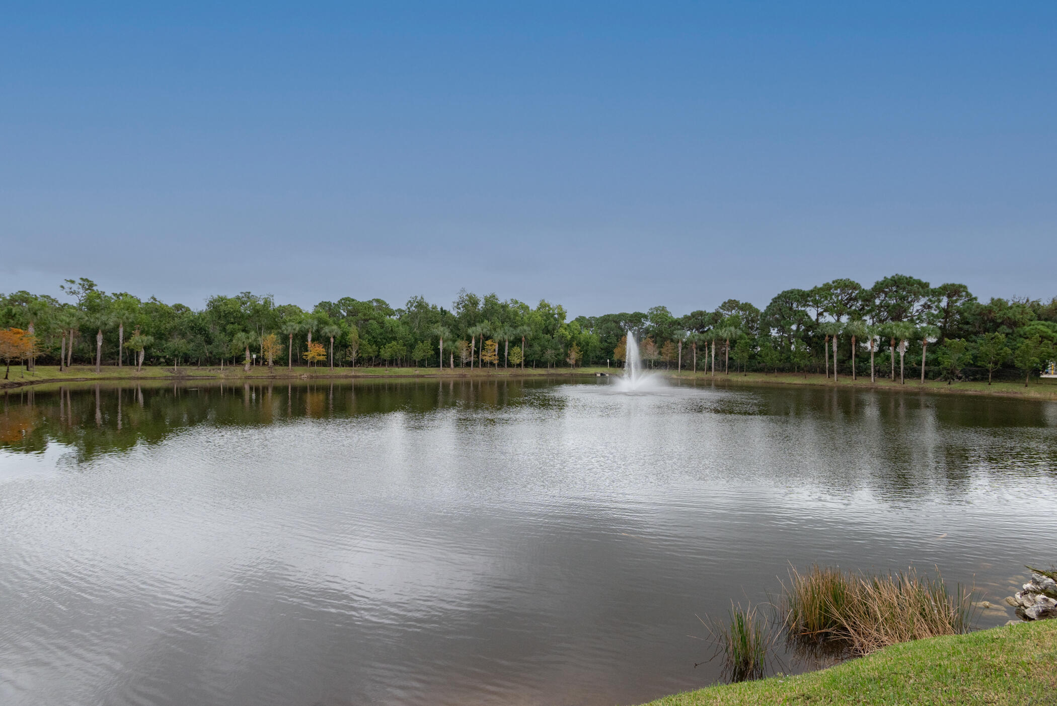 MLS #RX-11146716 image #34