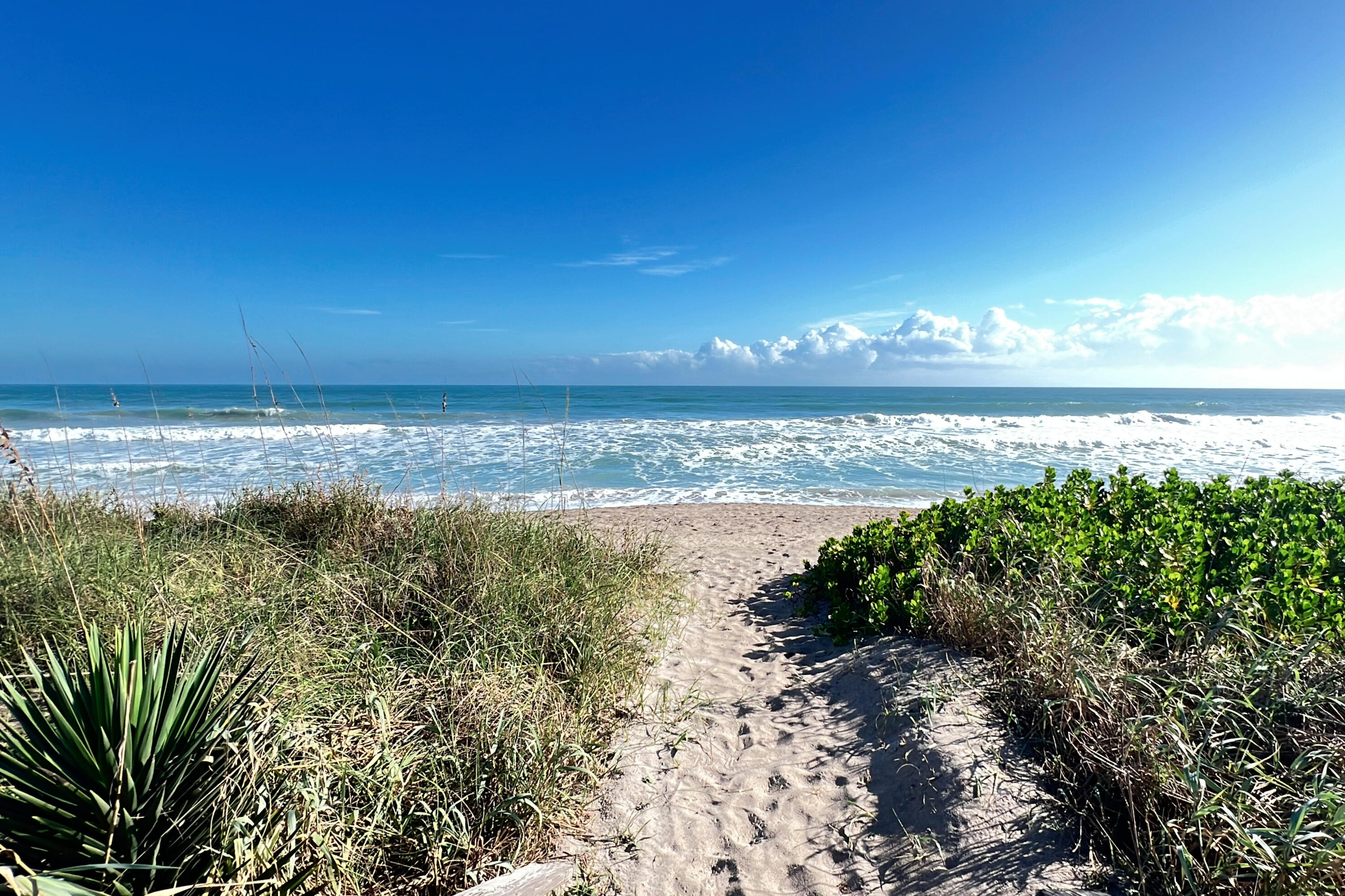 MLS #RX-11146814 image #1