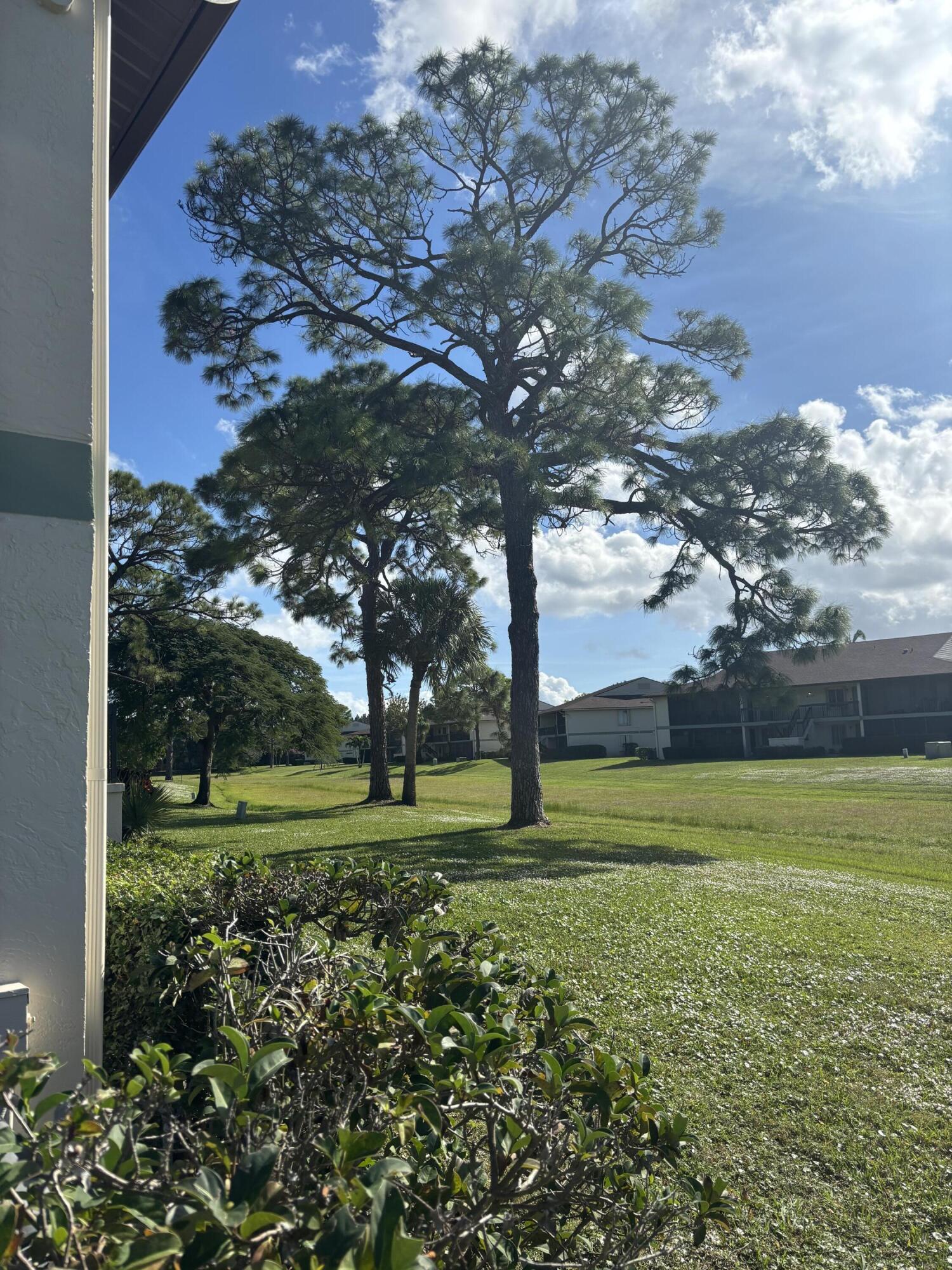 MLS #RX-11146817 image #4