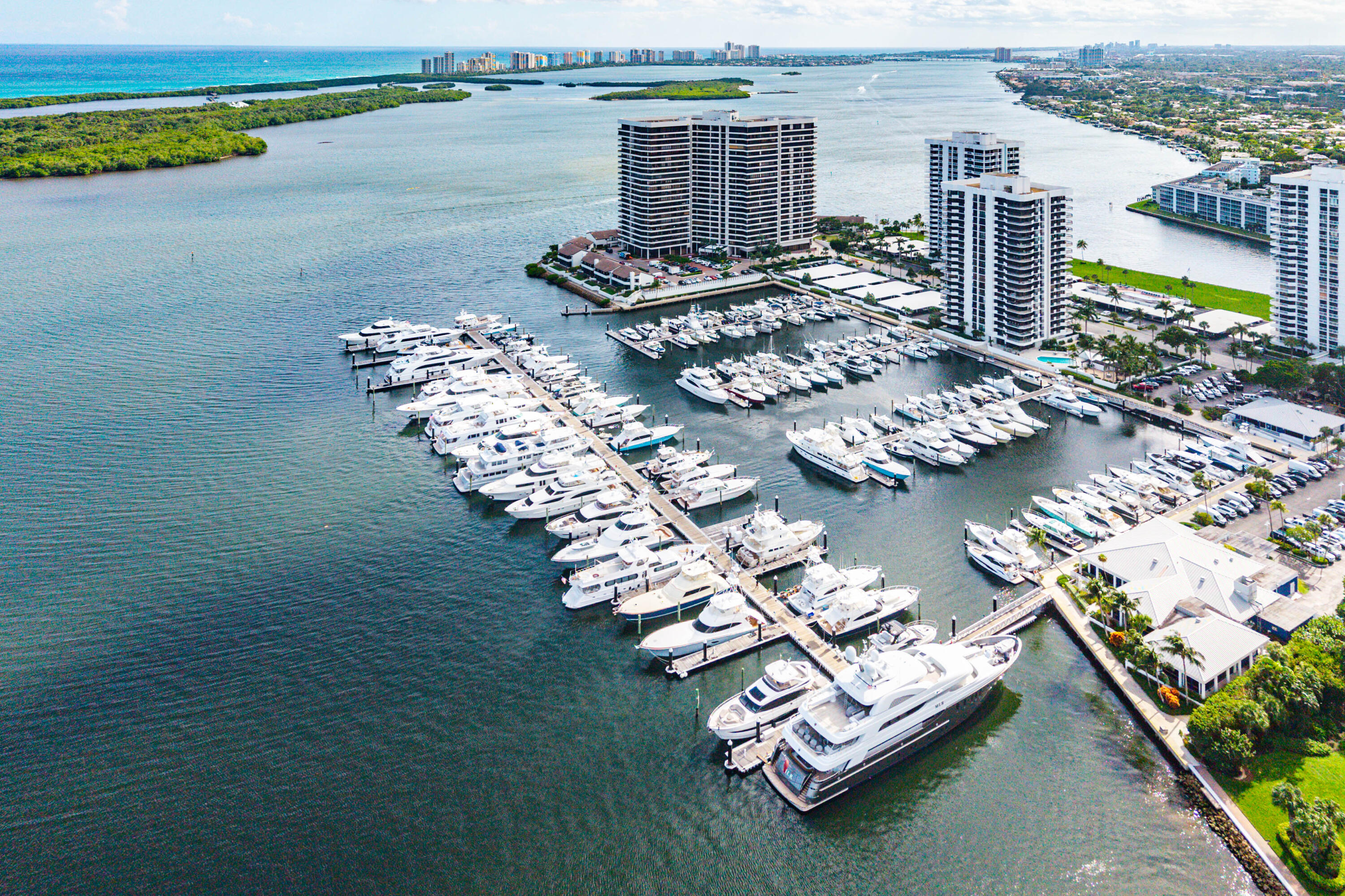 MLS #RX-11146824 image #4