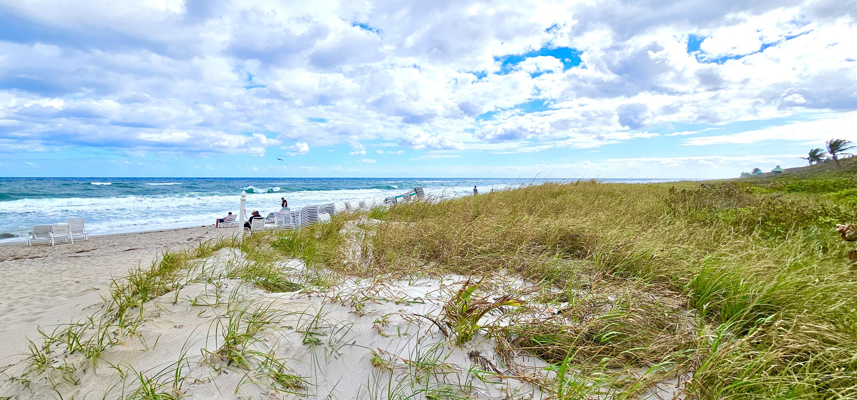 MLS #RX-11146867 image #35