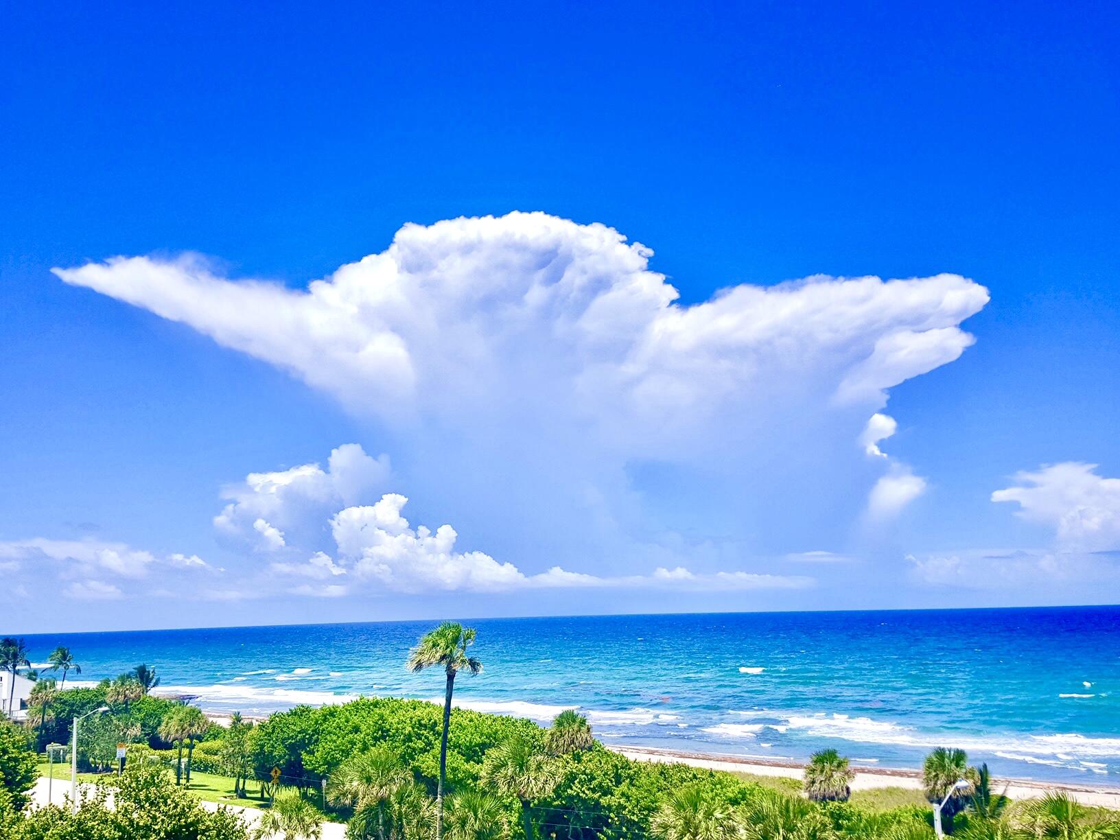 MLS #RX-11146867 image #36