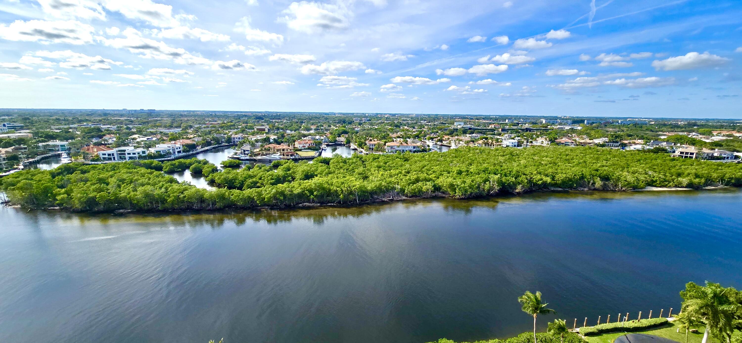 MLS #RX-11146867 image #6