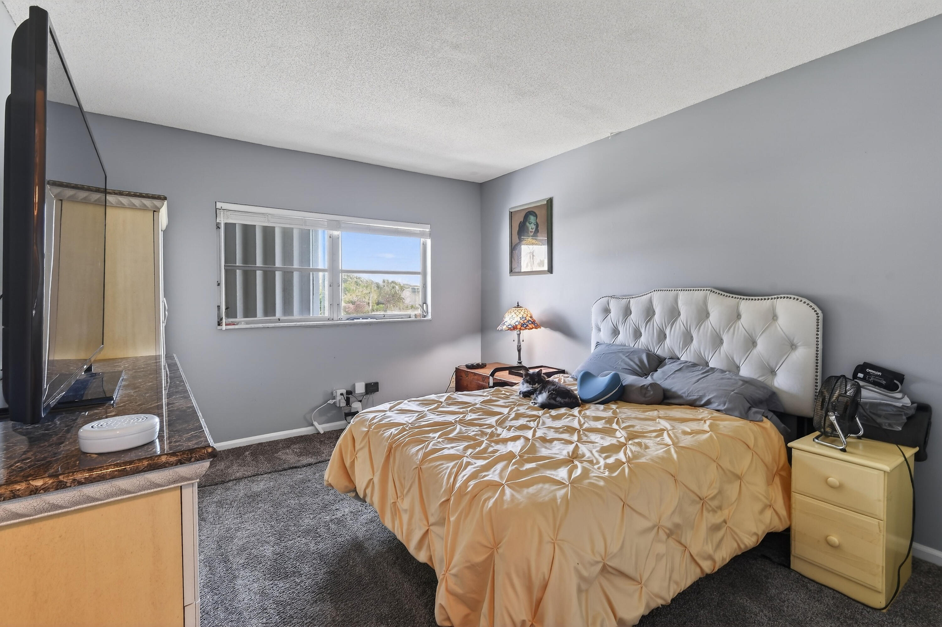 MLS #RX-11146917 image #24