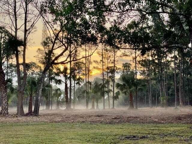 MLS #RX-11146922 image #24