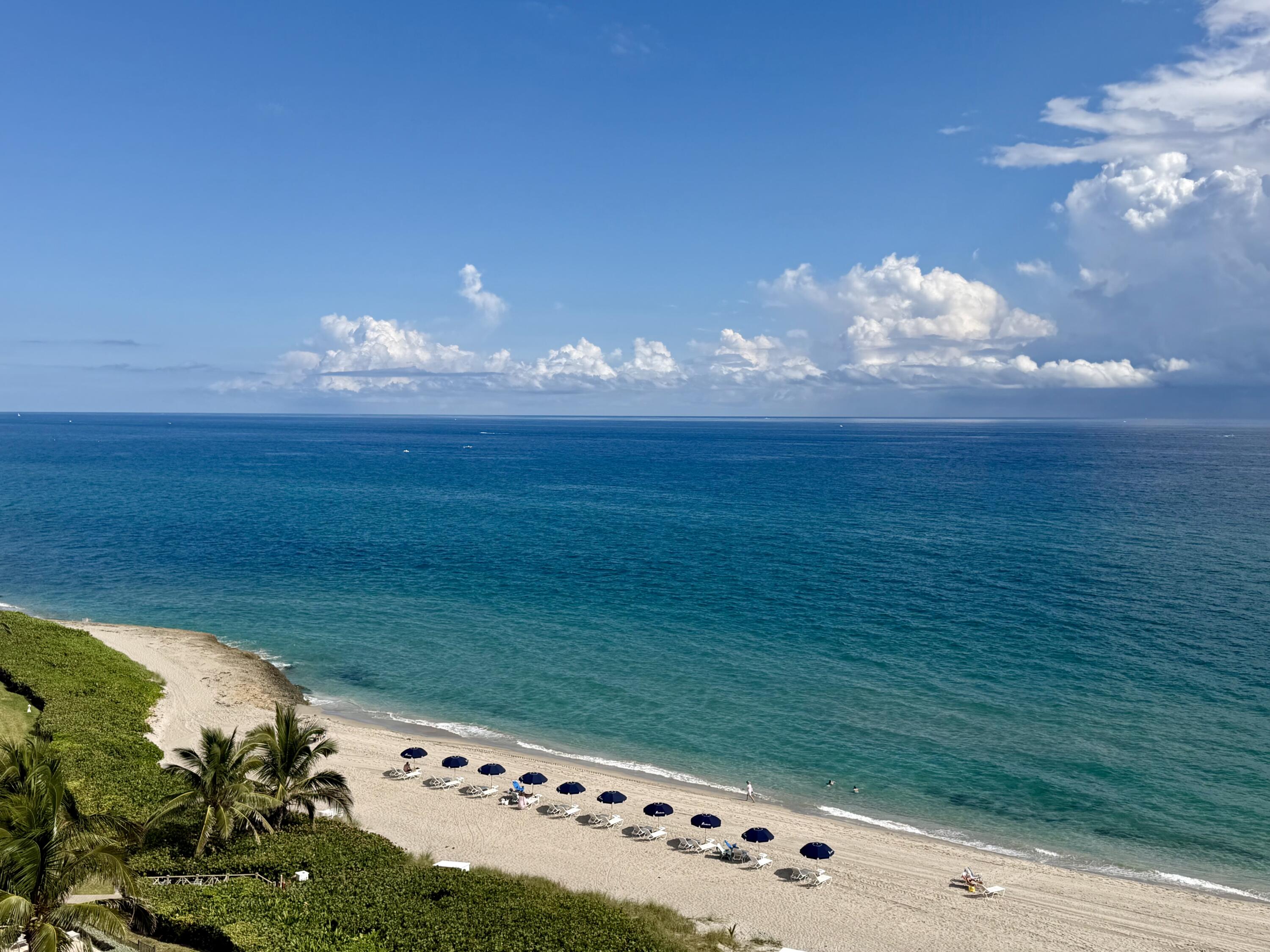 MLS #RX-11146928 image #0