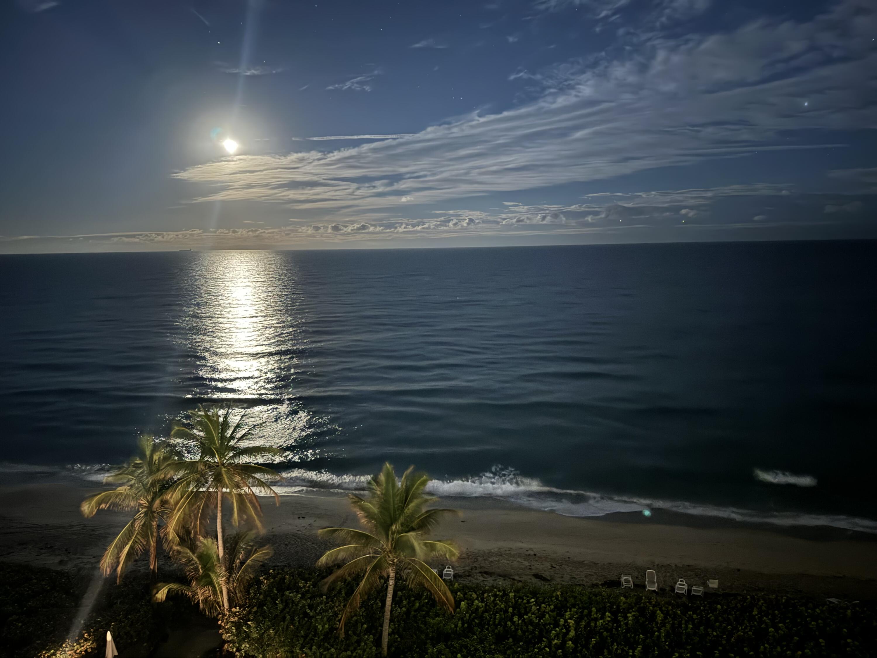 MLS #RX-11146957 image #44