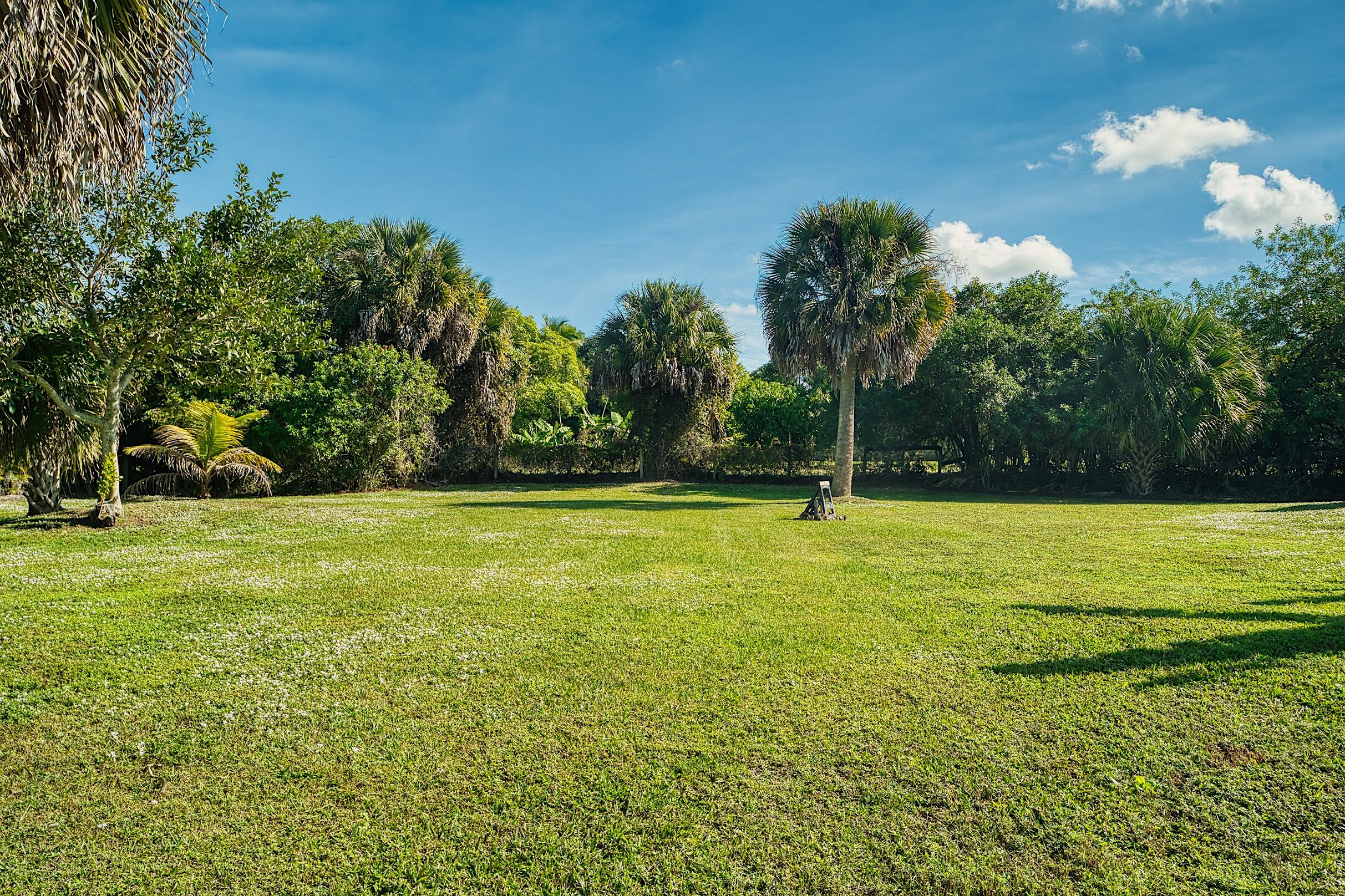 MLS #RX-11146971 image #41