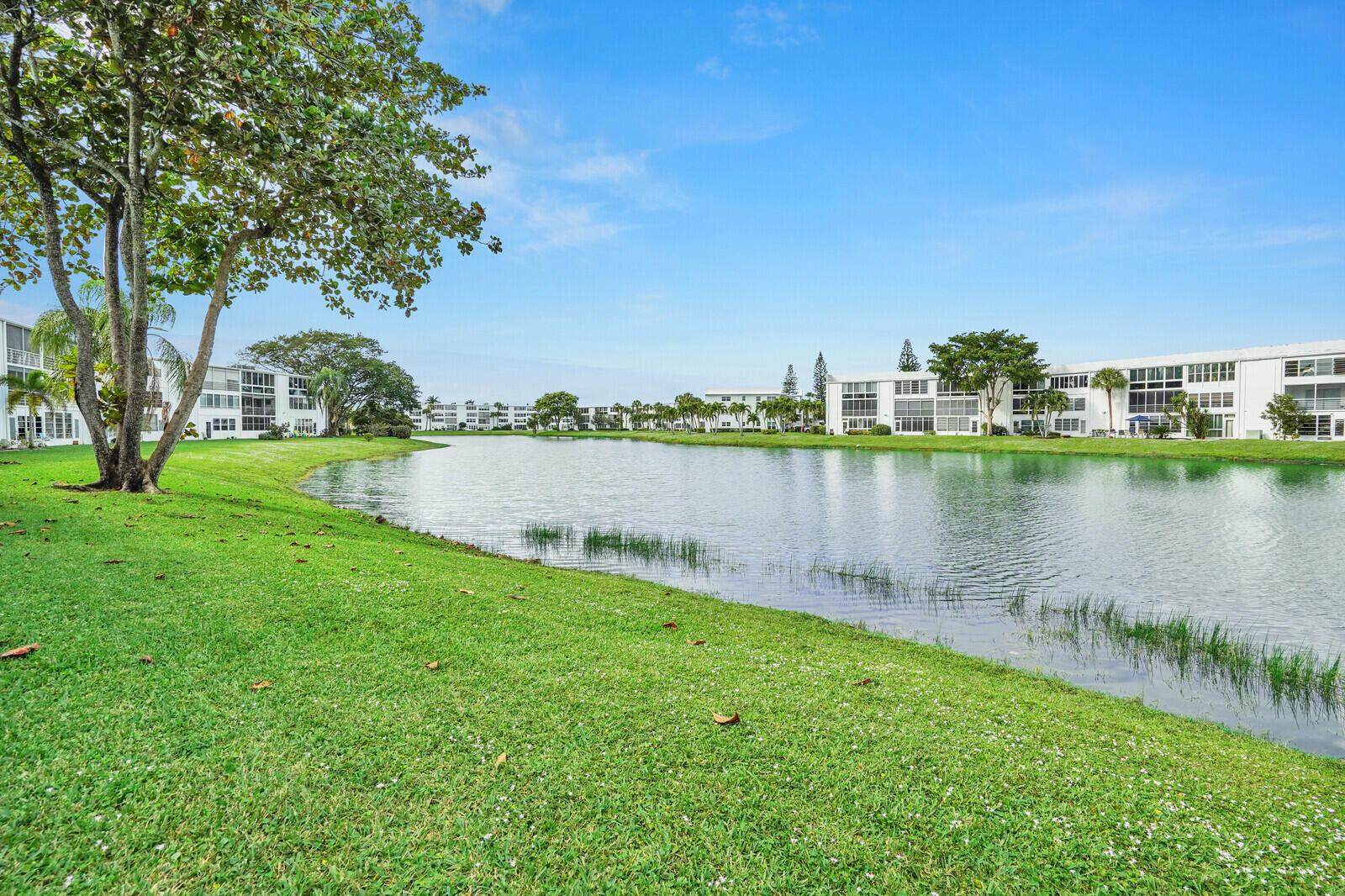 MLS #RX-11146974 image #9