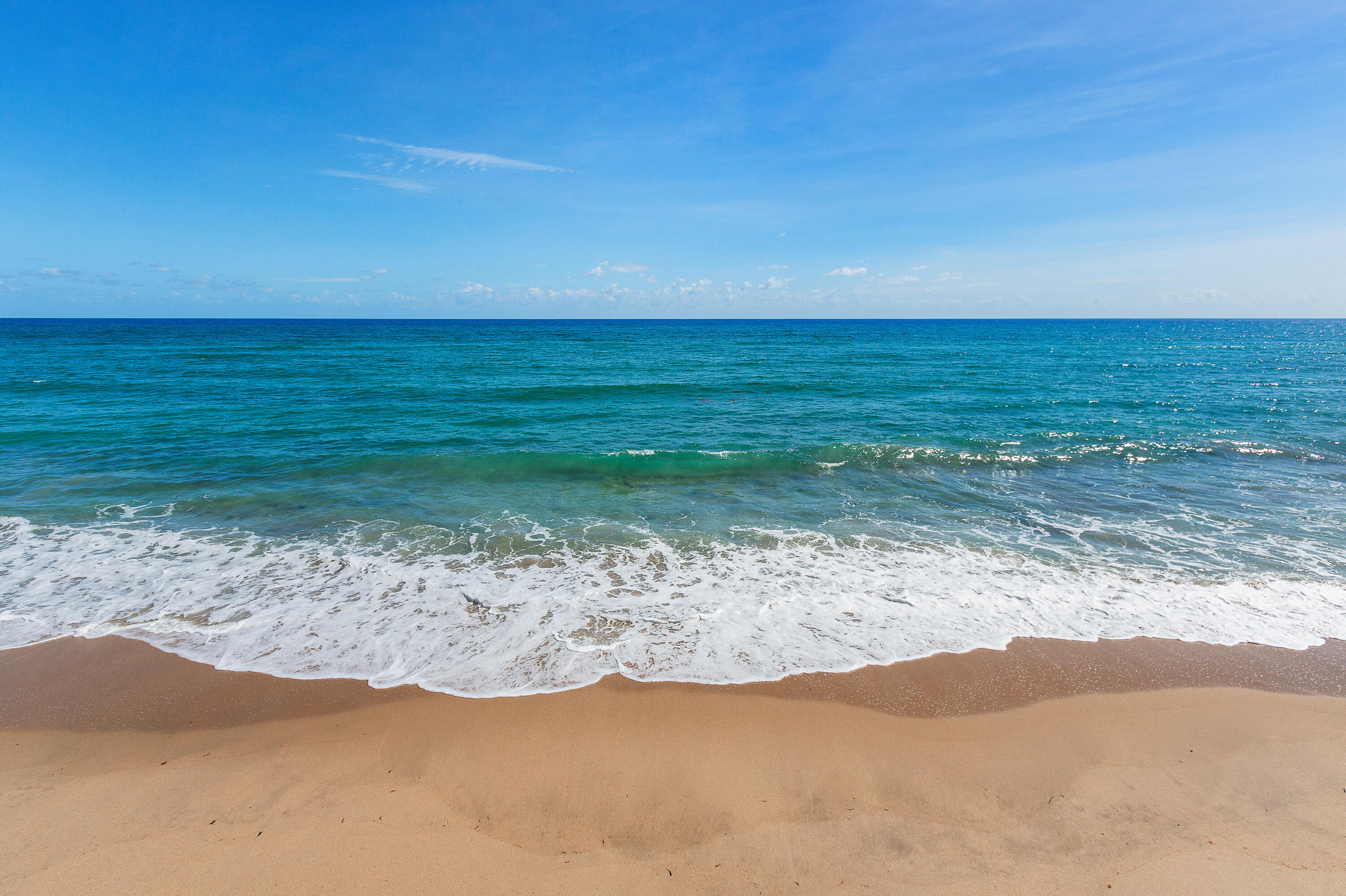 MLS #RX-11146978 image #34