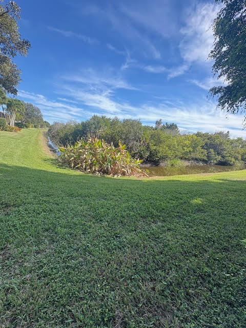 MLS #RX-11147067 image #60