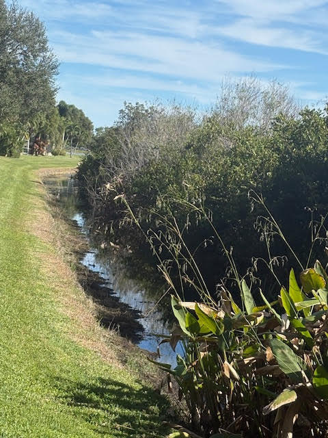 MLS #RX-11147067 image #61