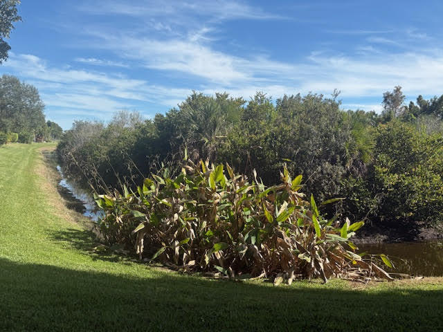 MLS #RX-11147067 image #64