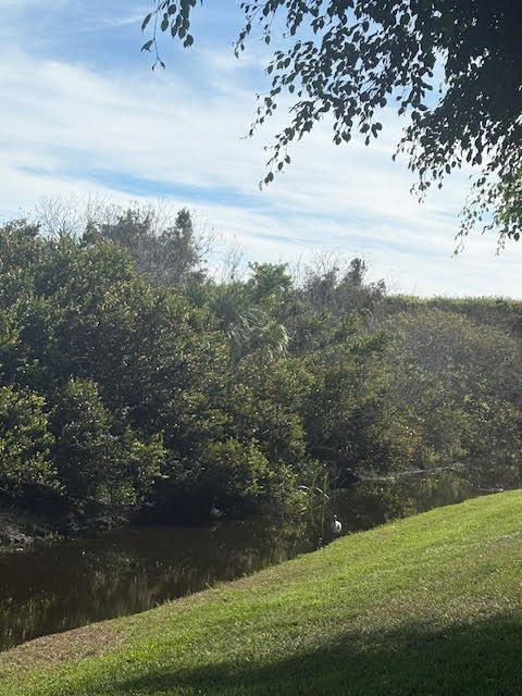 MLS #RX-11147067 image #69