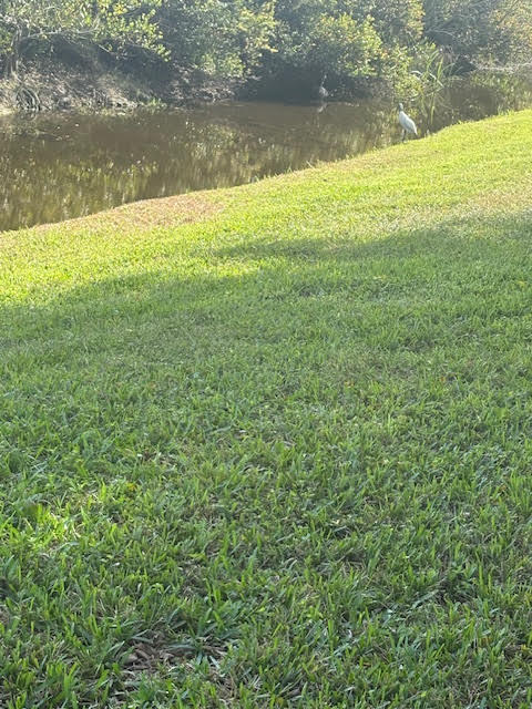 MLS #RX-11147067 image #70