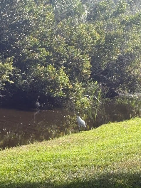 MLS #RX-11147067 image #71