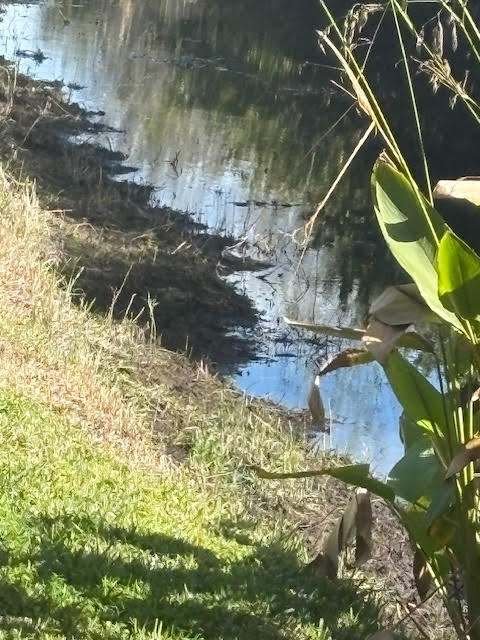 MLS #RX-11147067 image #72