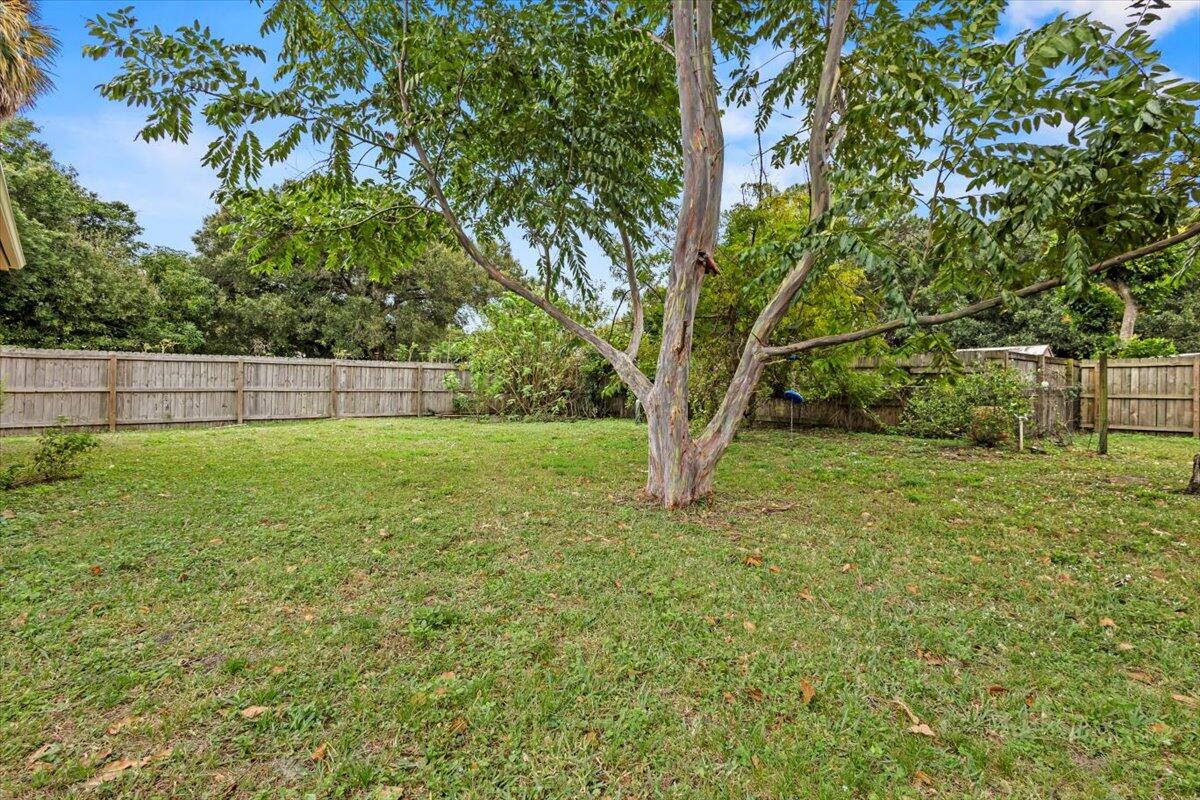 MLS #RX-11147113 image #5