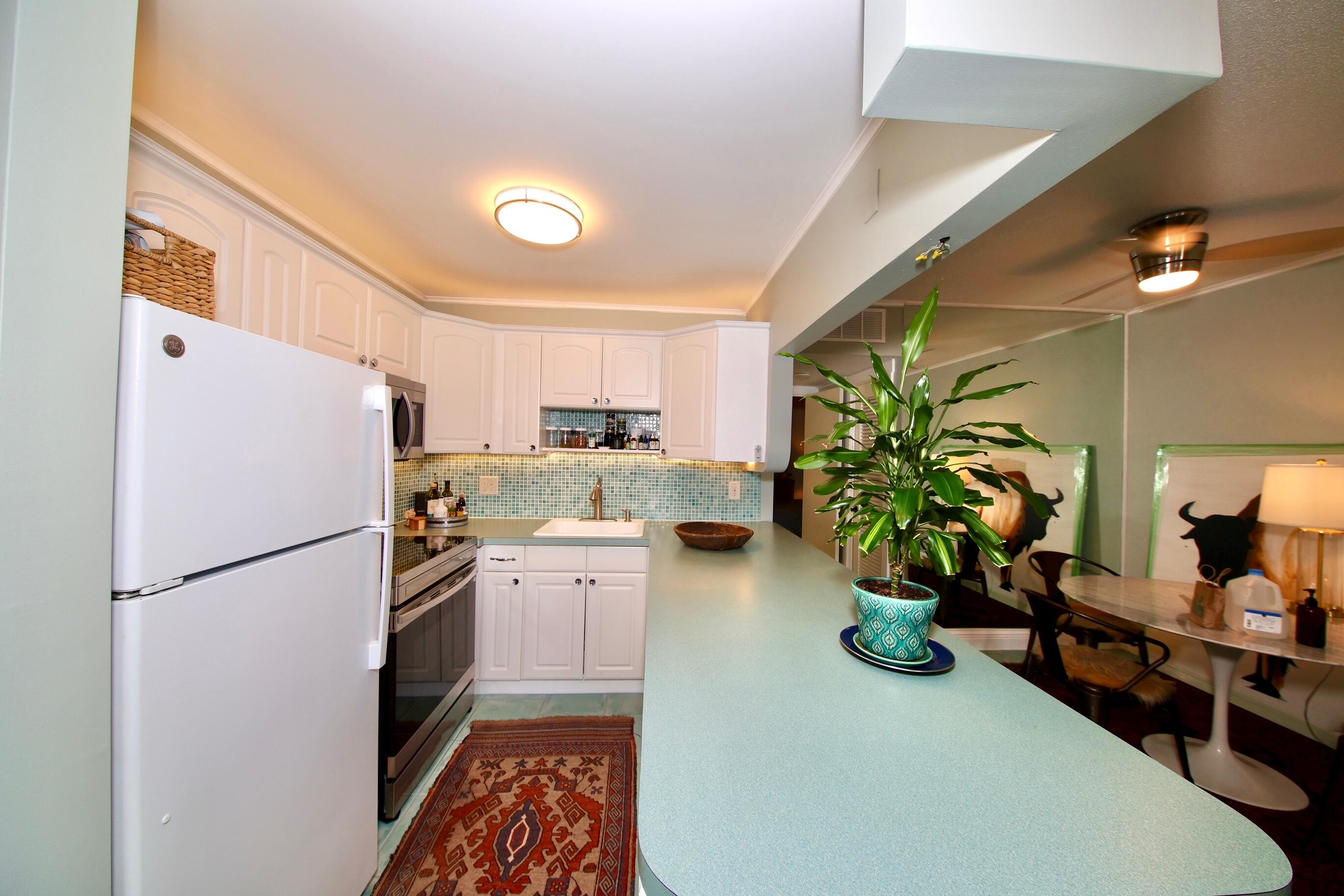 MLS #RX-11147162 image #4