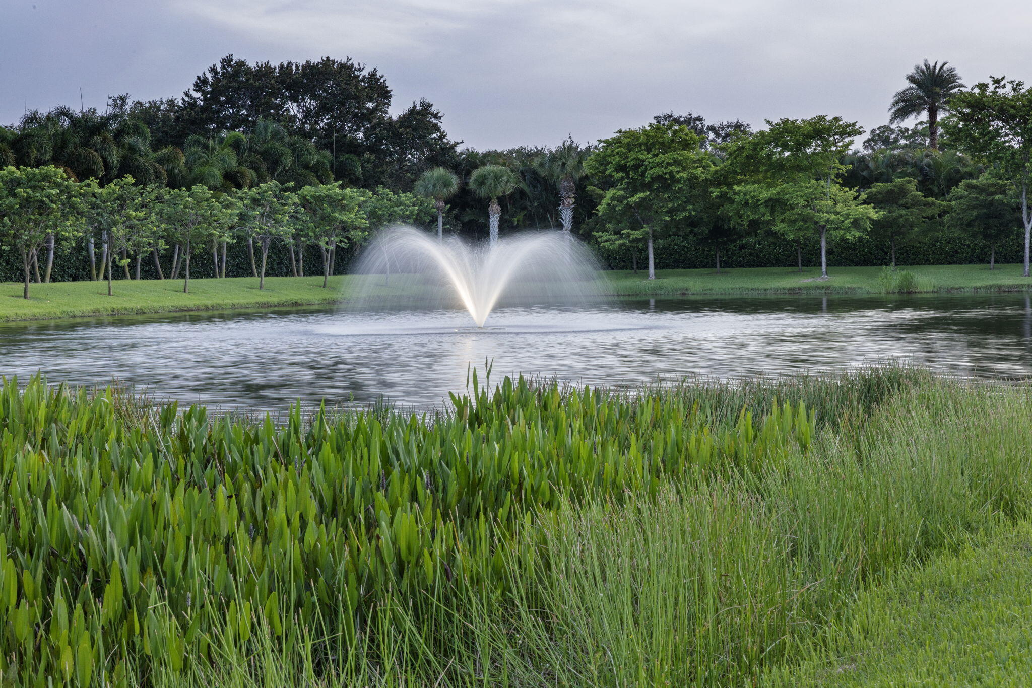 MLS #RX-11147169 image #101