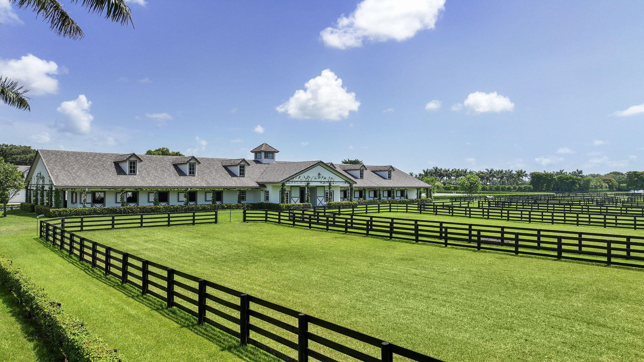 MLS #RX-11147169 image #5