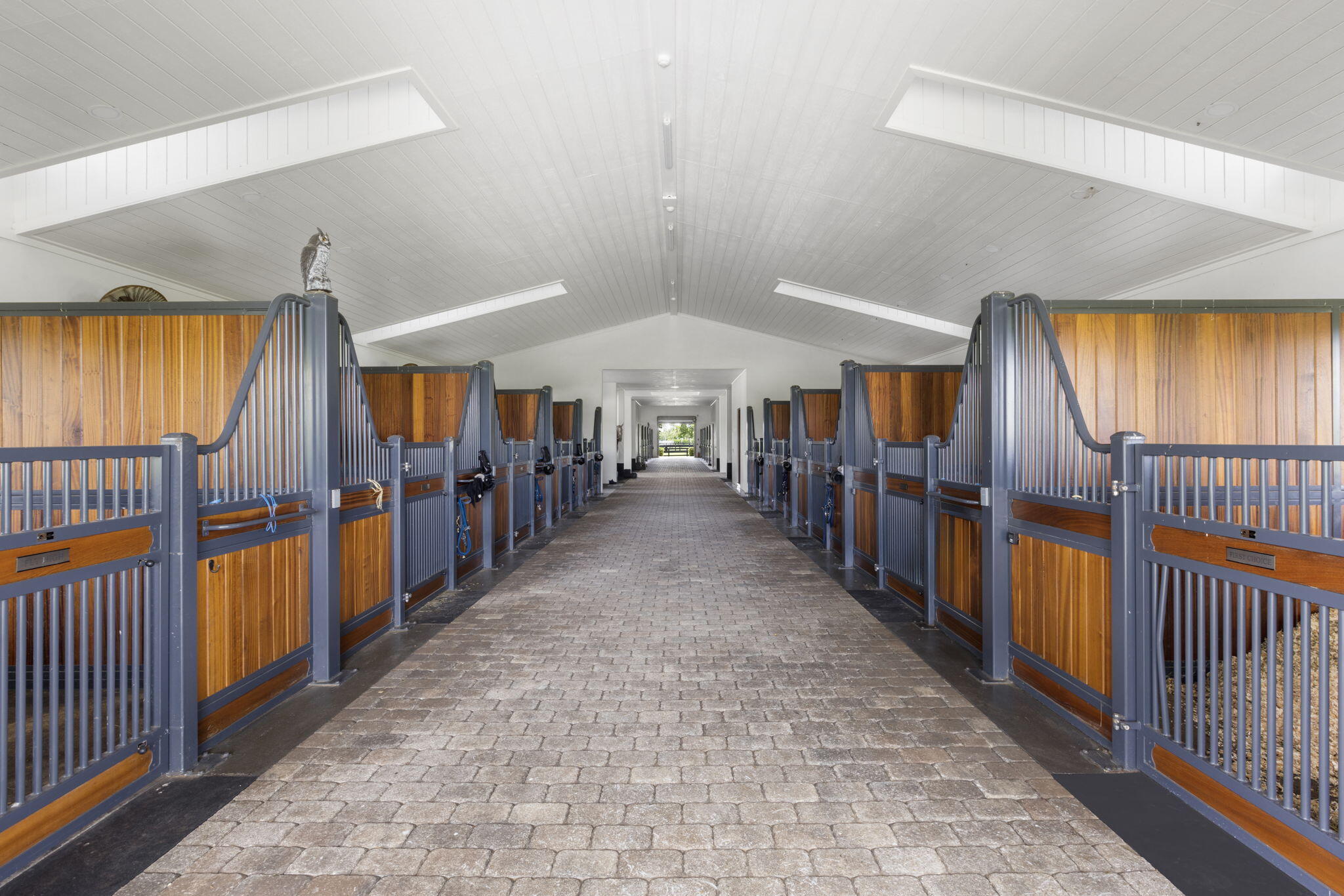 MLS #RX-11147169 image #6