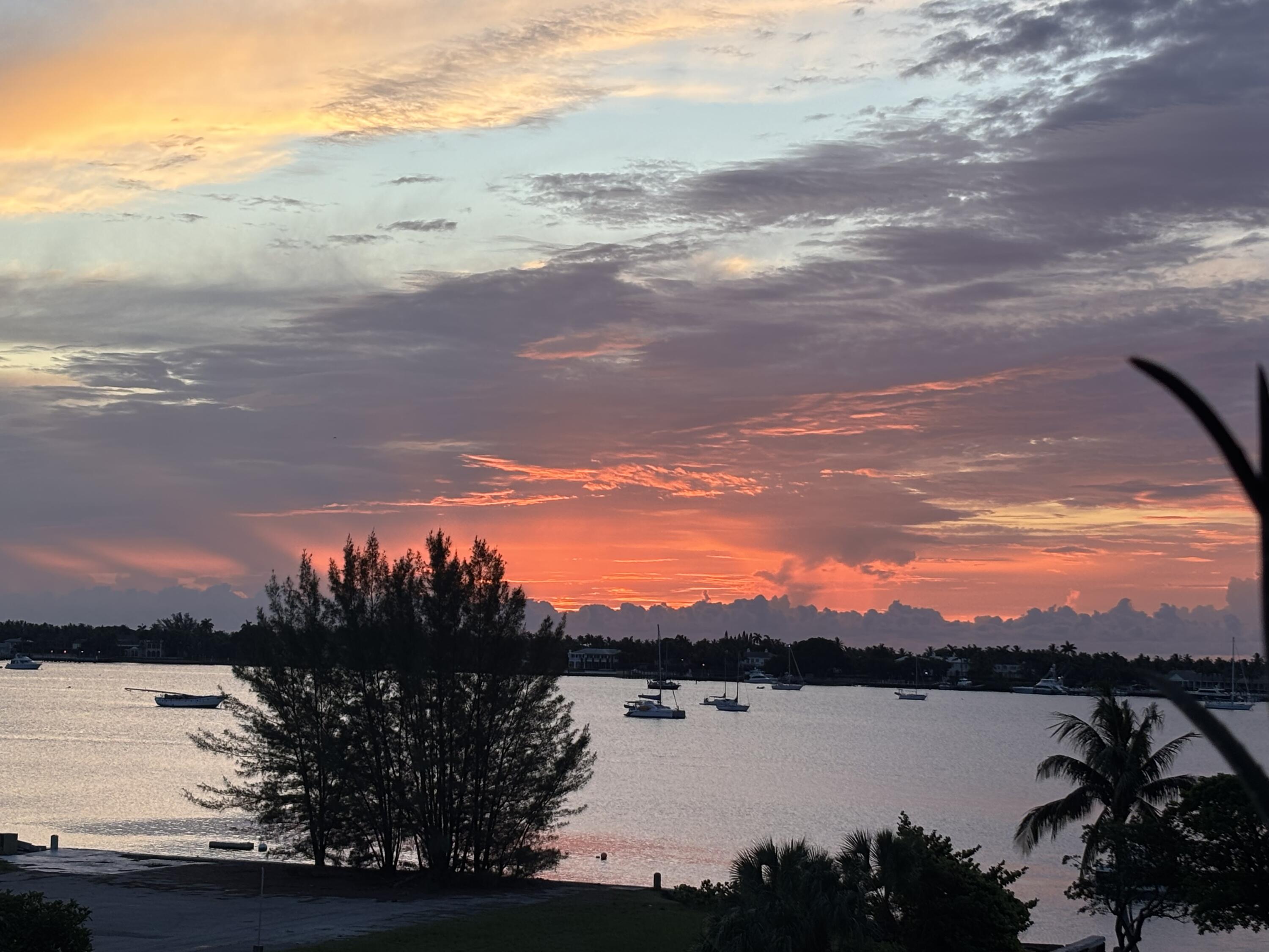 MLS #RX-11147204 image #28