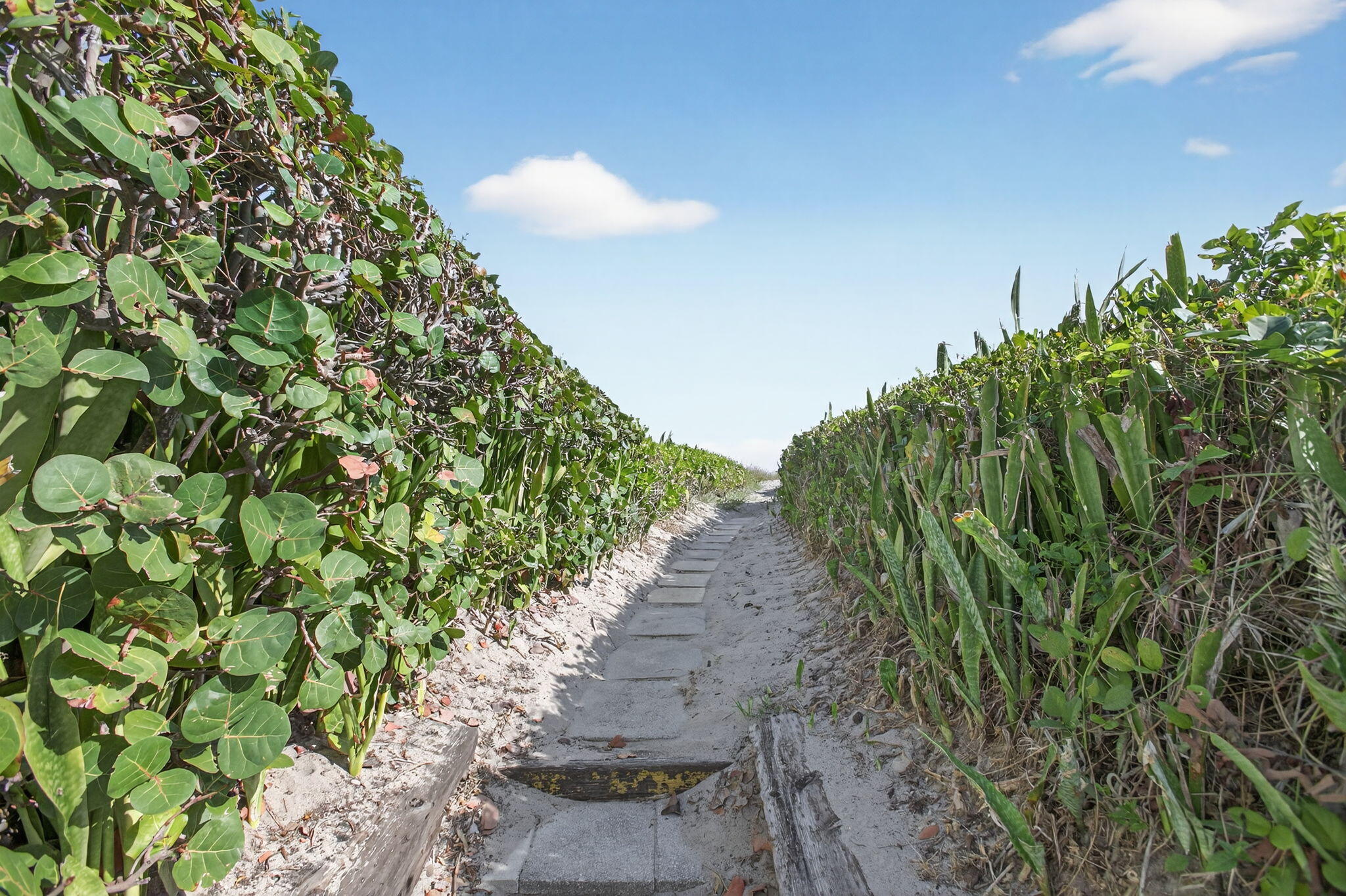 MLS #RX-11147238 image #19