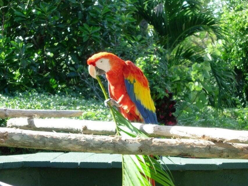 MLS #RX-11147238 image #46