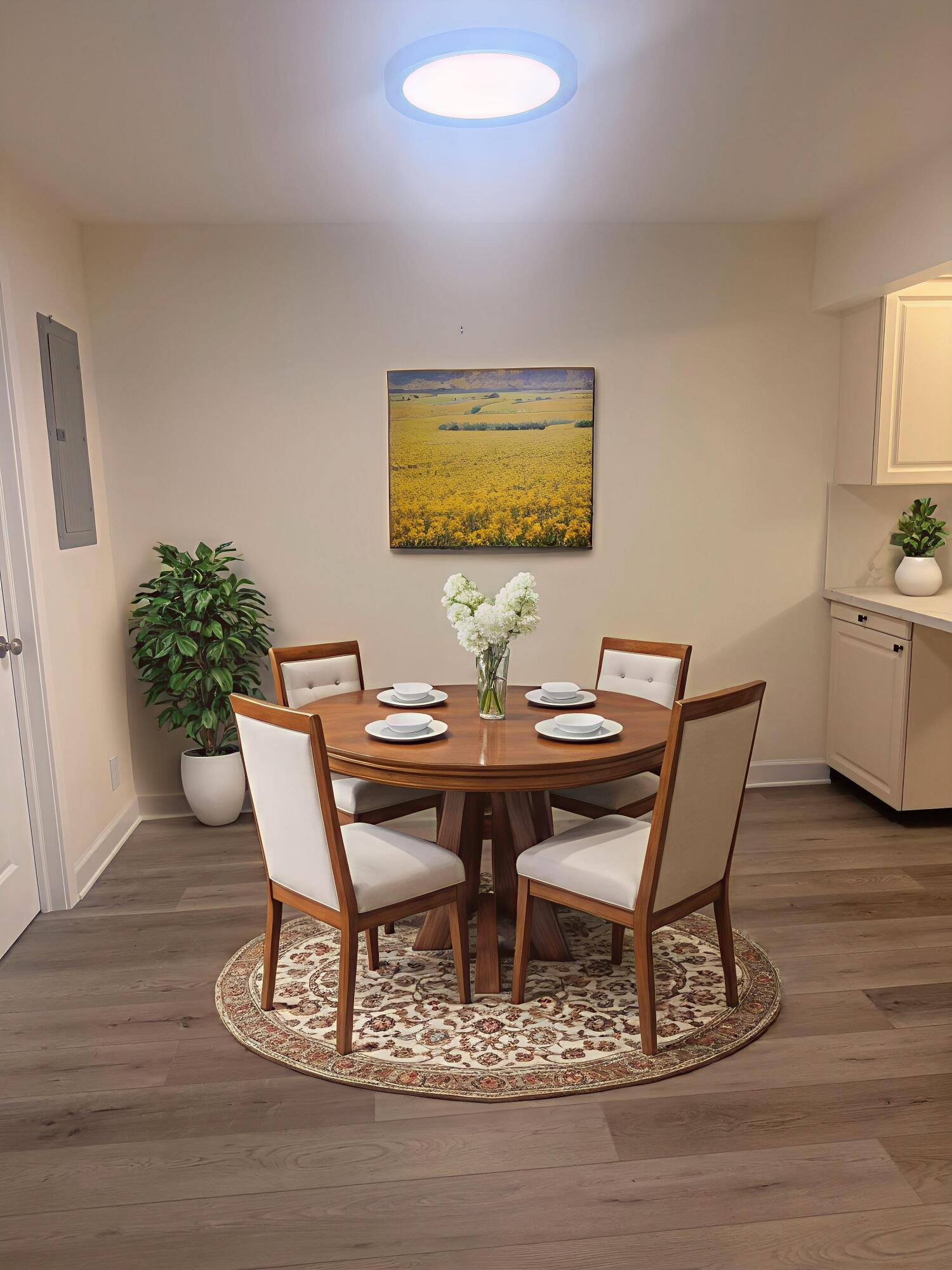 MLS #RX-11147247 image #13